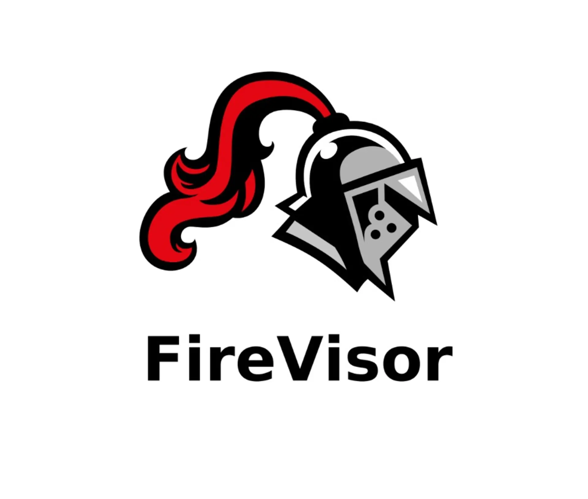 FireVisor