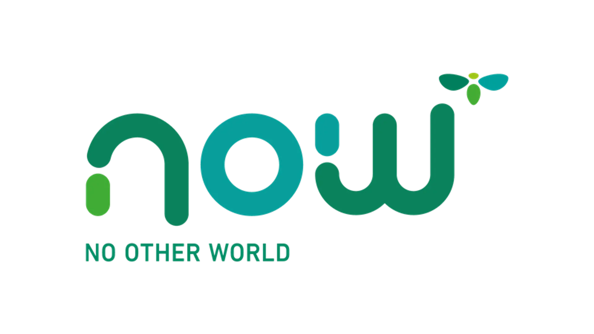 NOW Venture Studio
