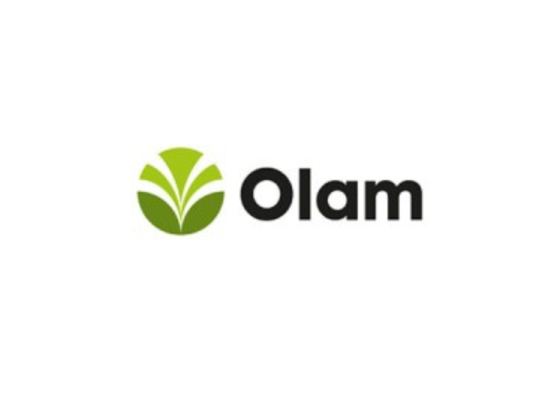 Olam