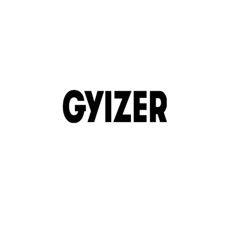 Gyizer Company Profile Funding & Investors | YourStory