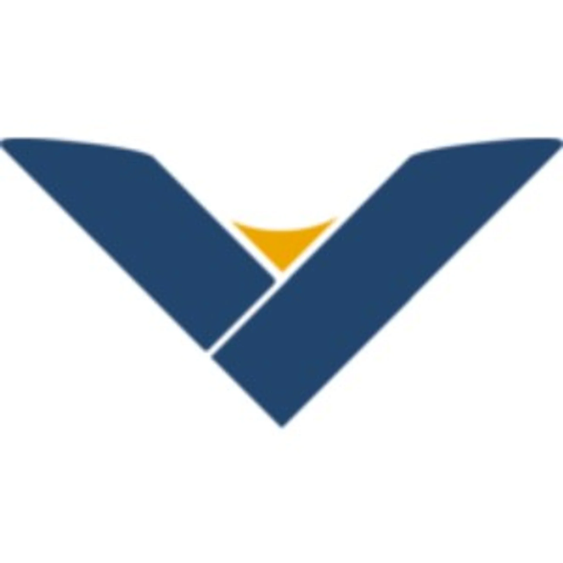 Vidcare Innovations