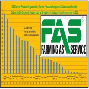 Fascorp