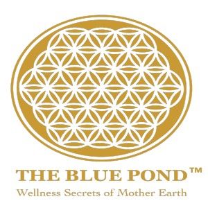 The Blue Pond