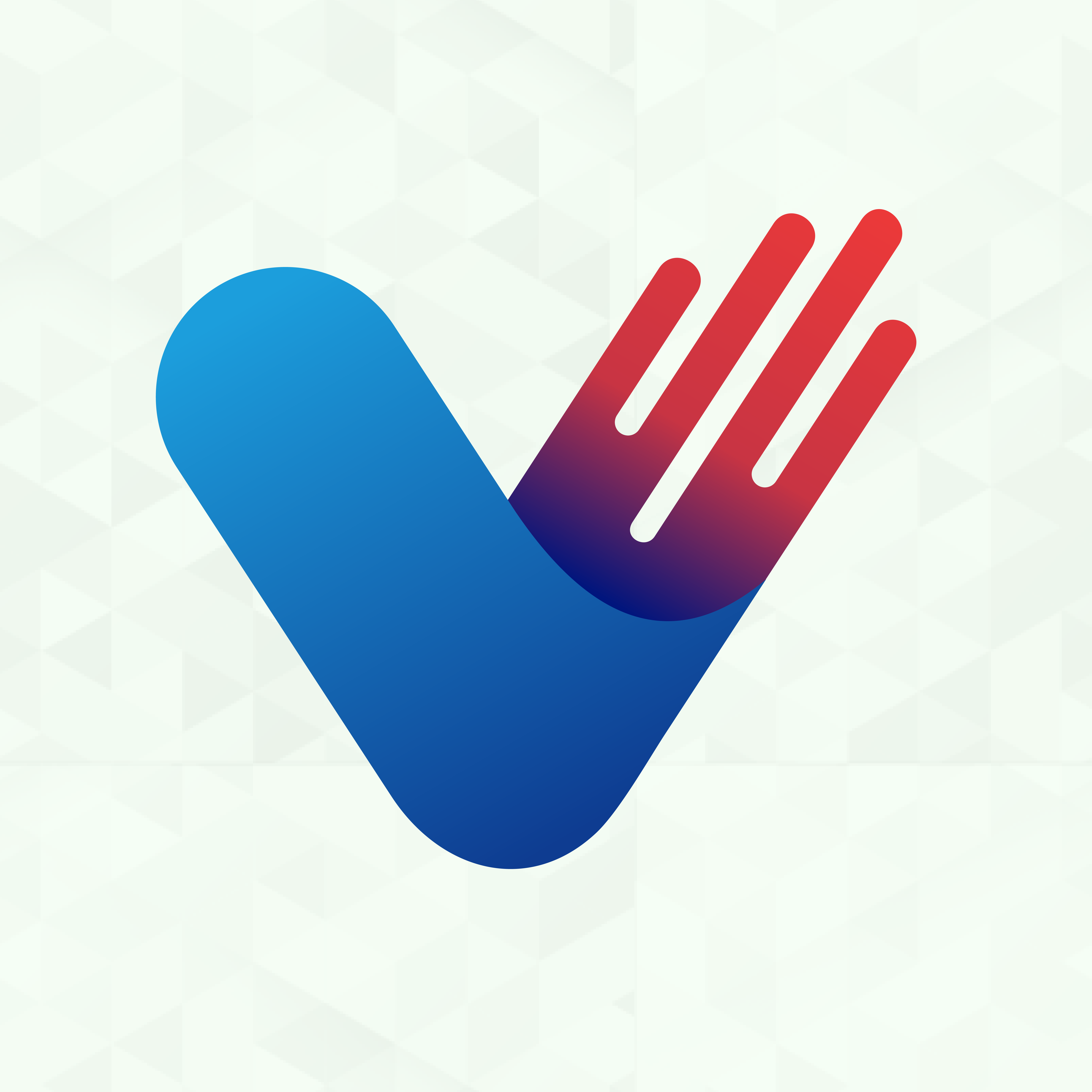 Venzo