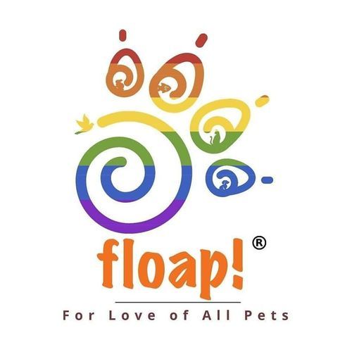 Floap | YourStory