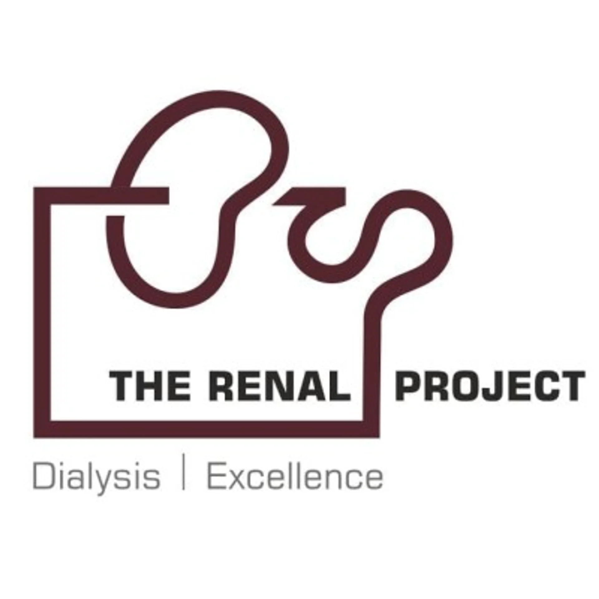 The Renal Project