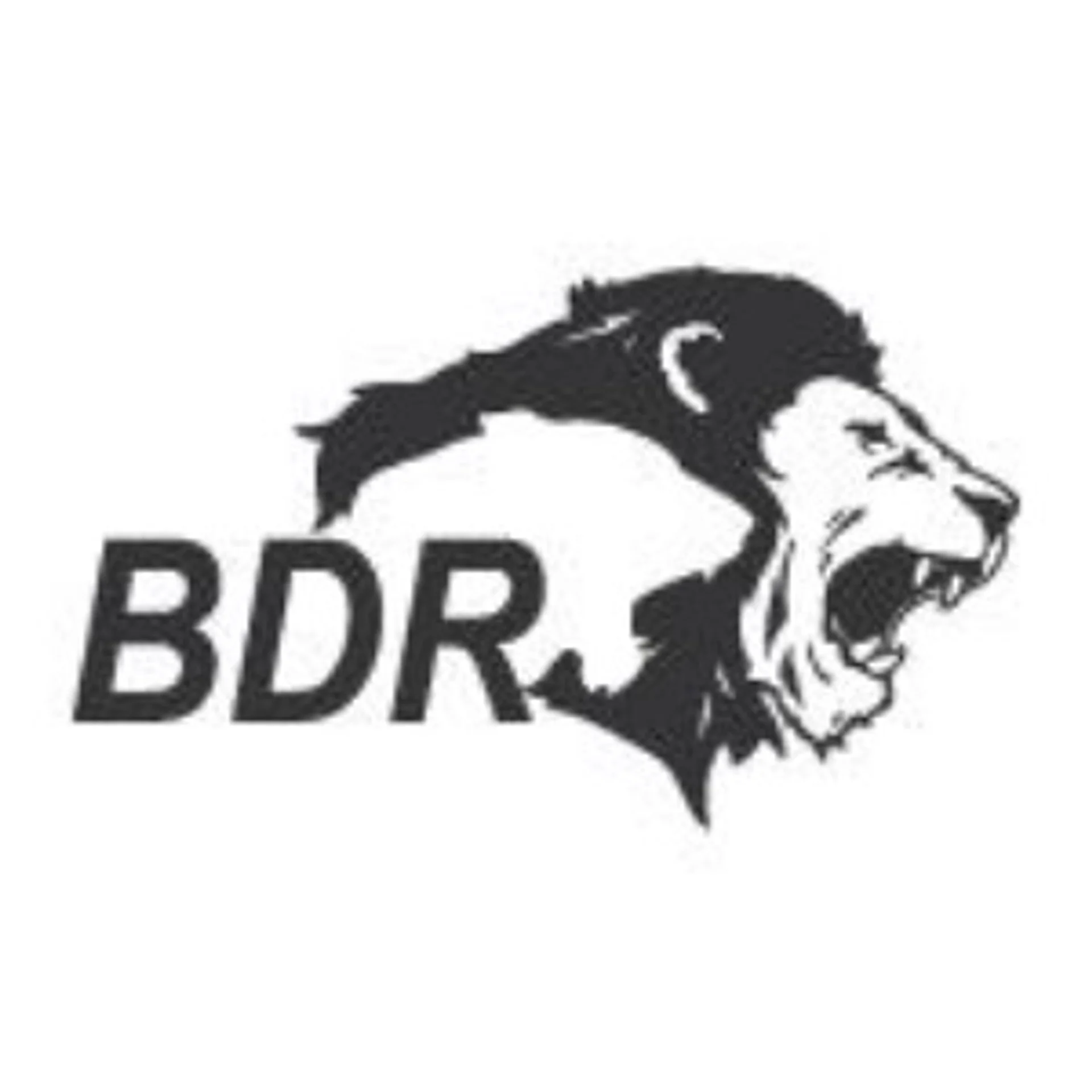 BDR Pharmaceuticals