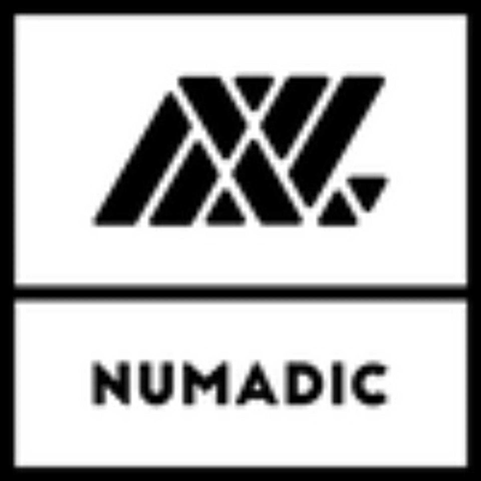 Numadic
