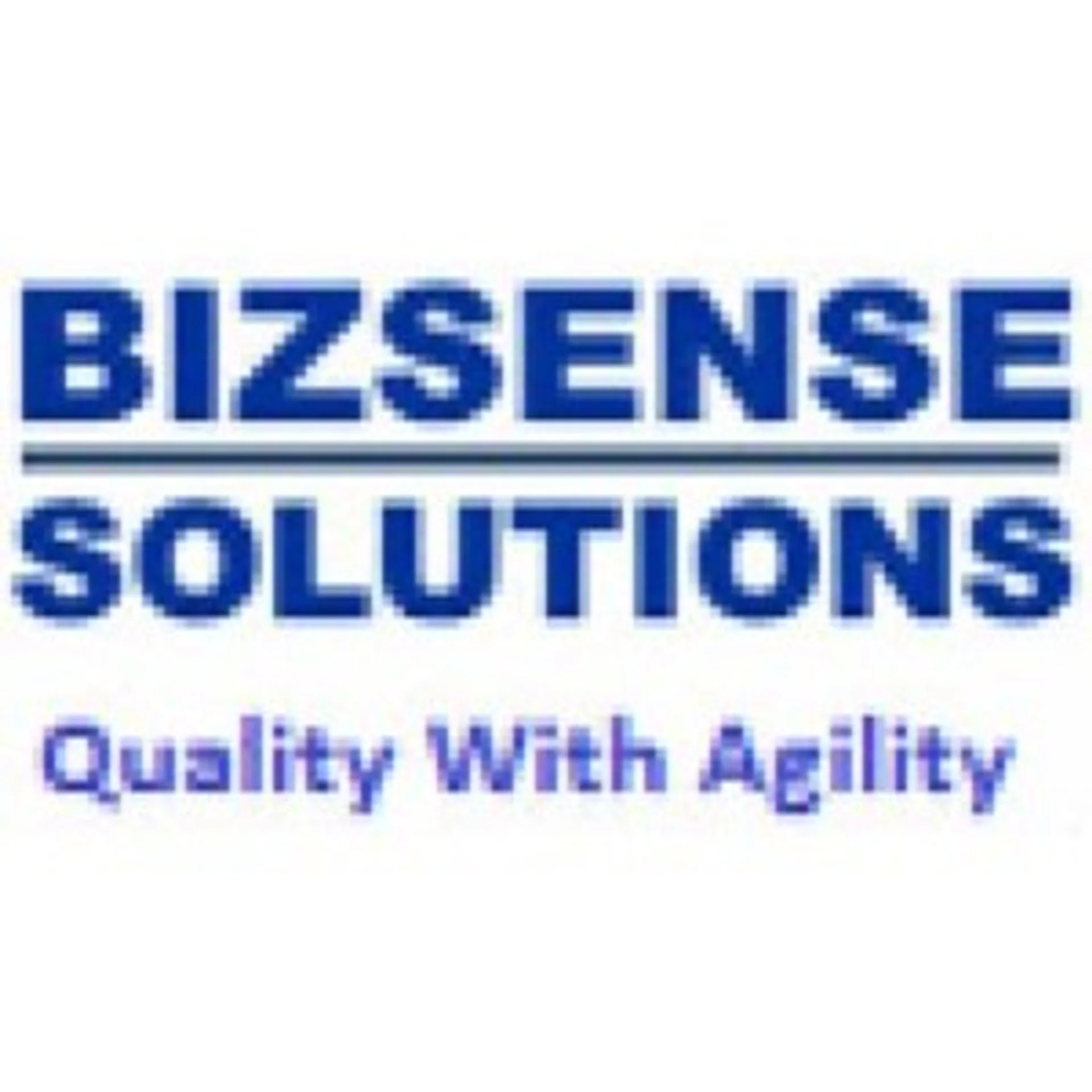 BIZSENSE