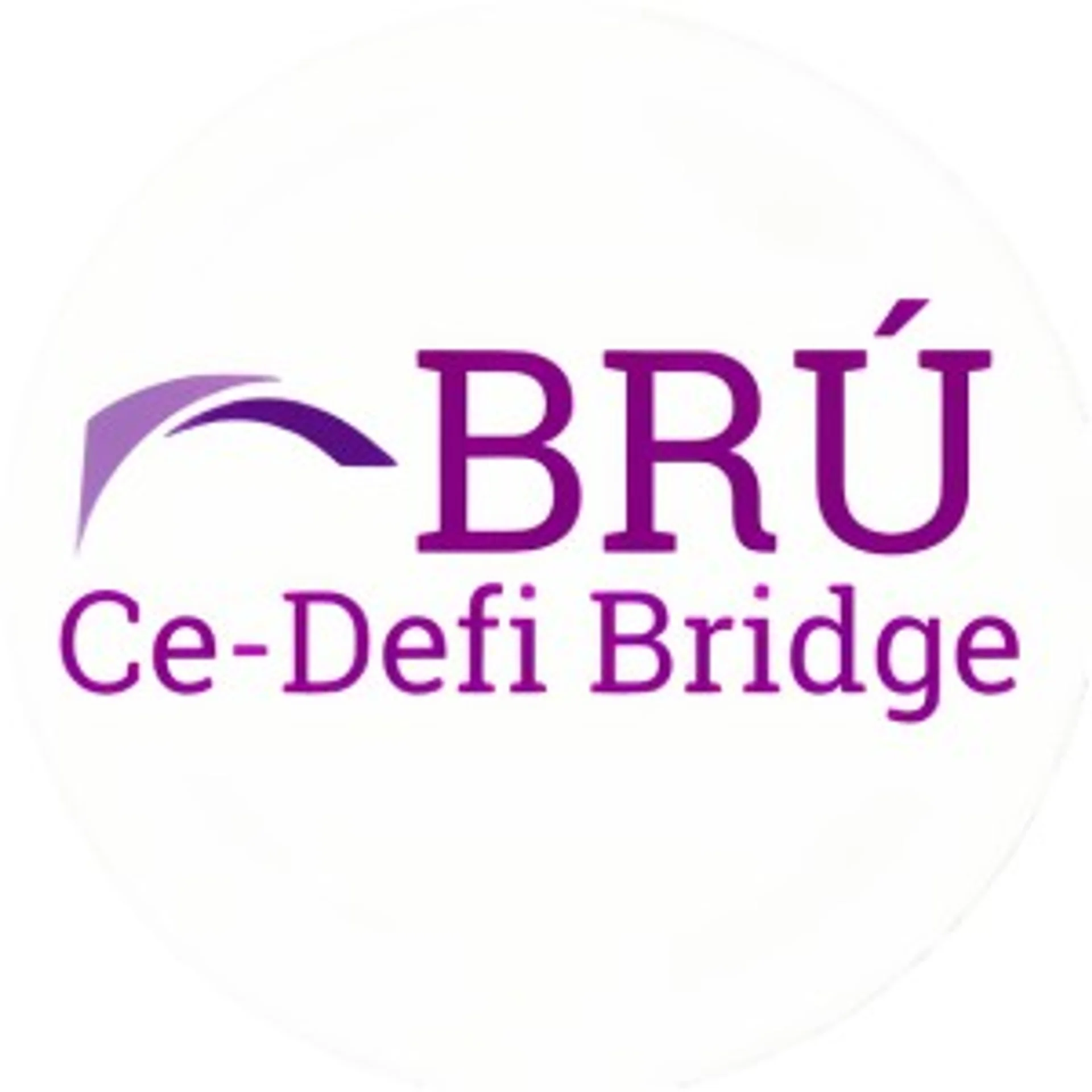 Bru Finance