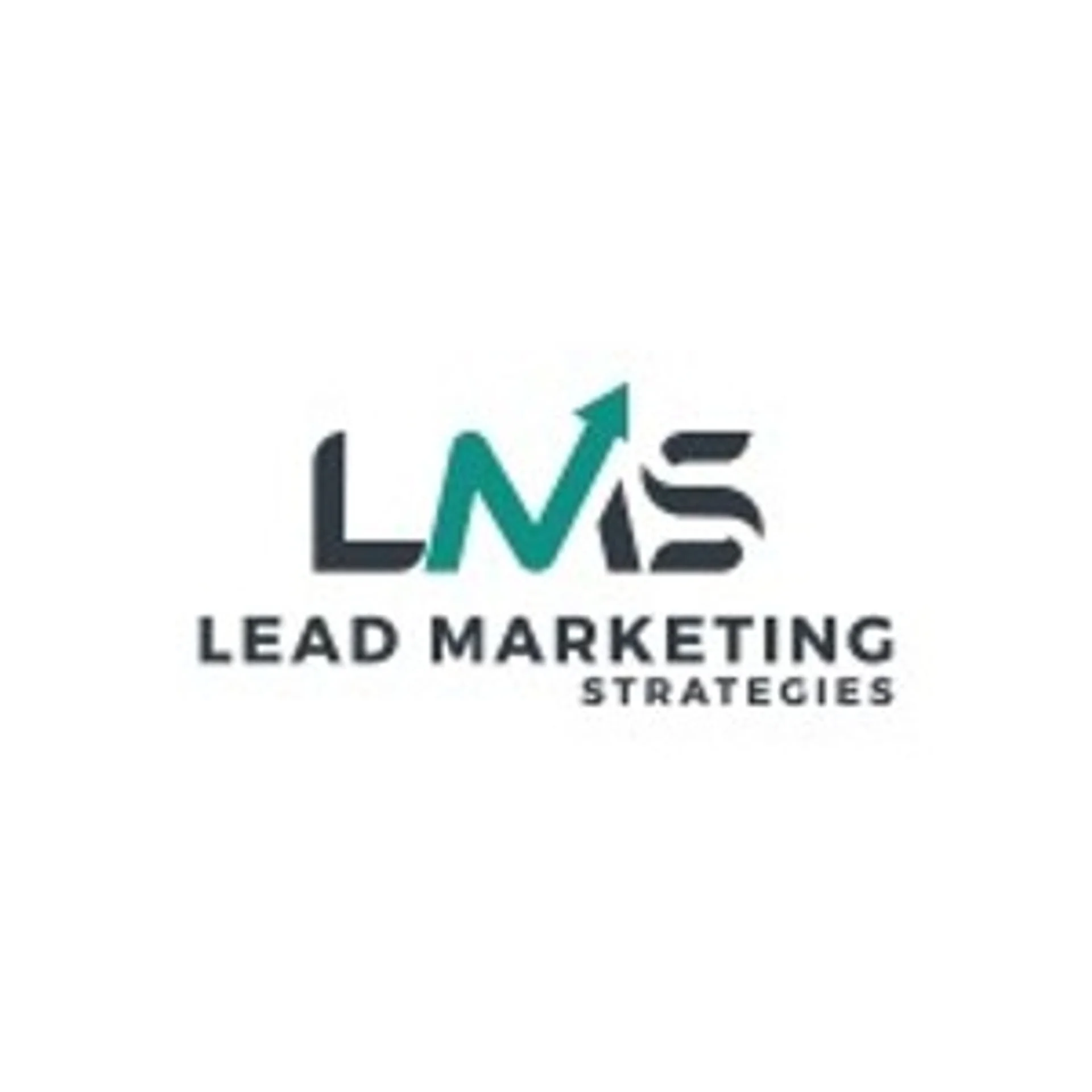 Lead Marketing Strategies