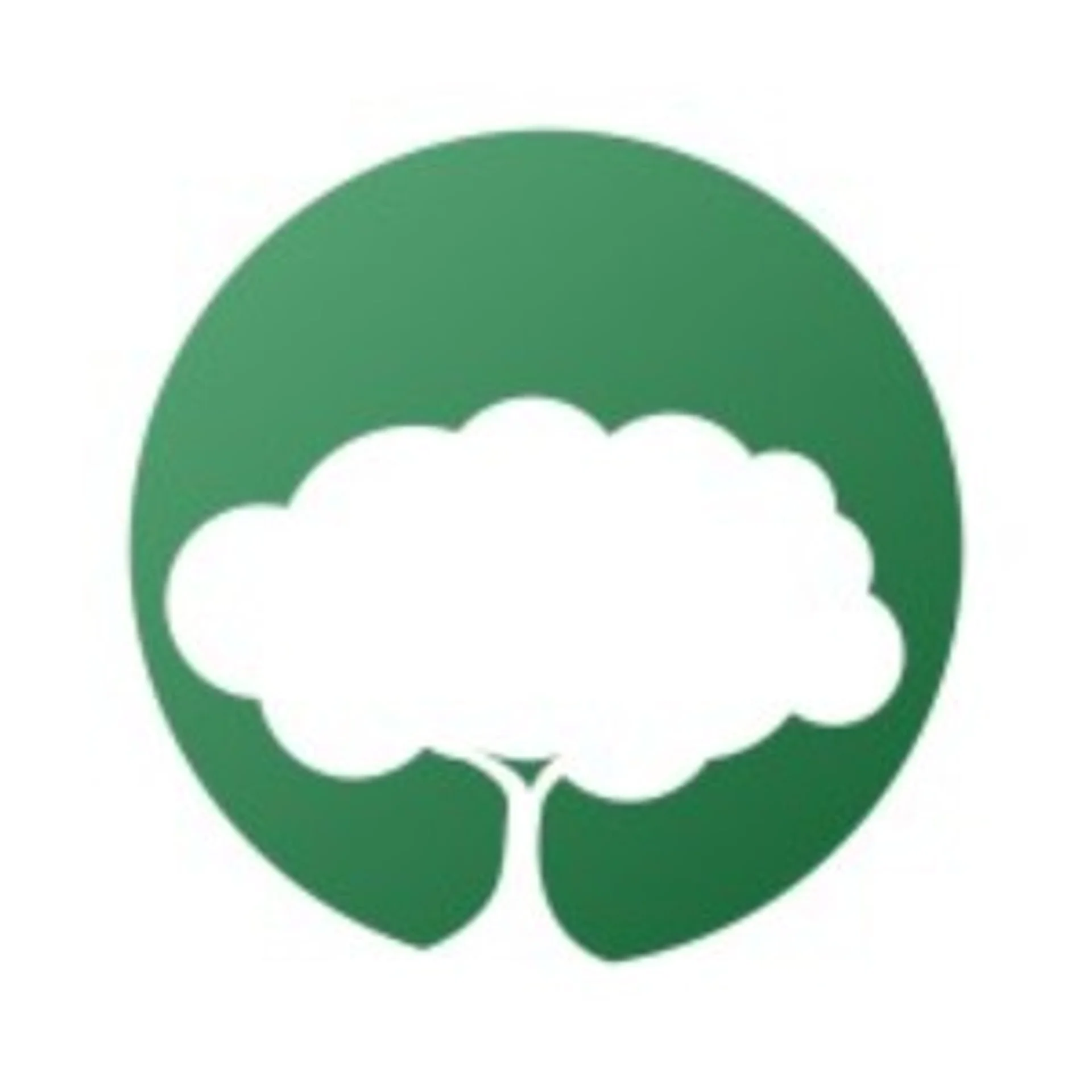 Arbor