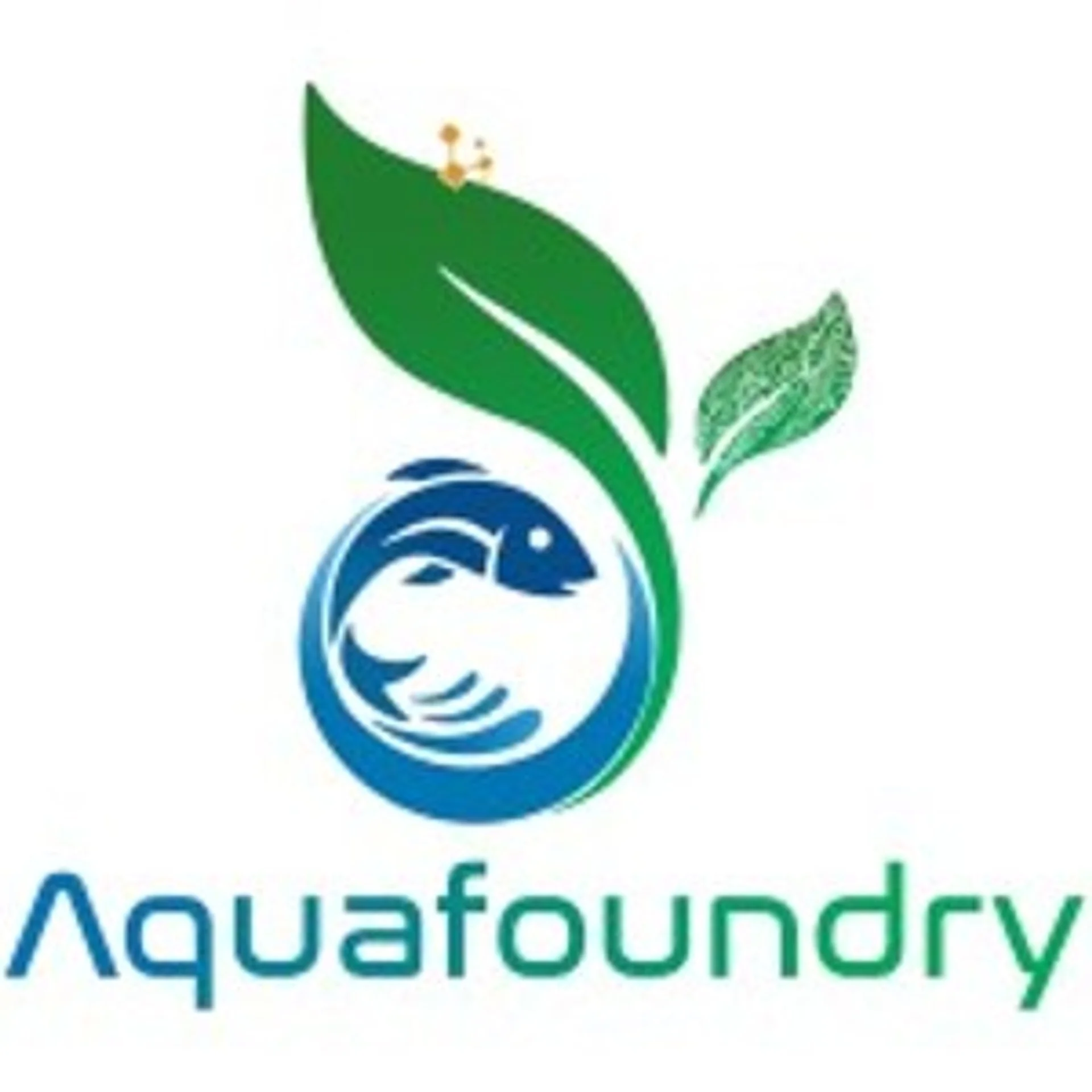 Aquafoundry