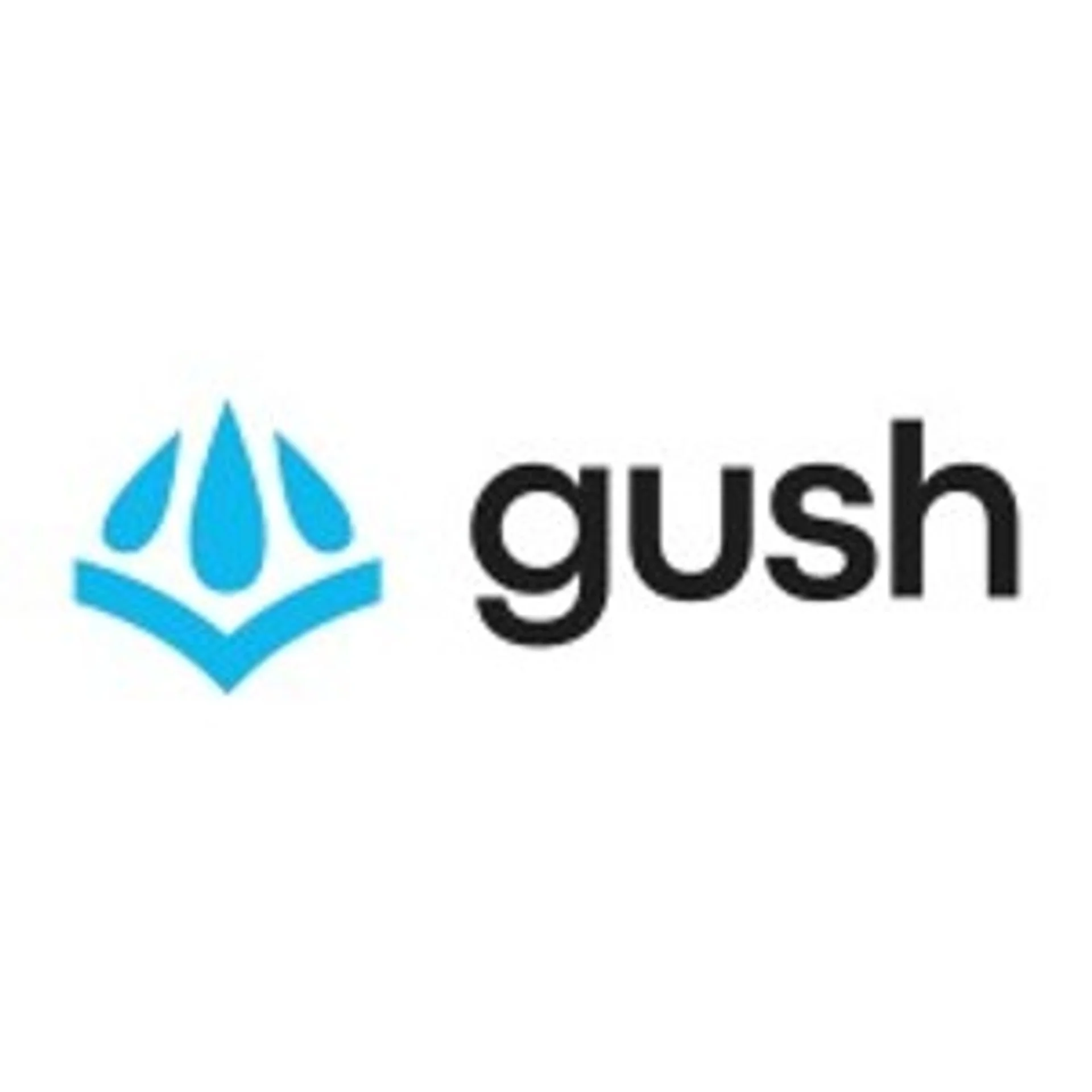 Gushwork.ai