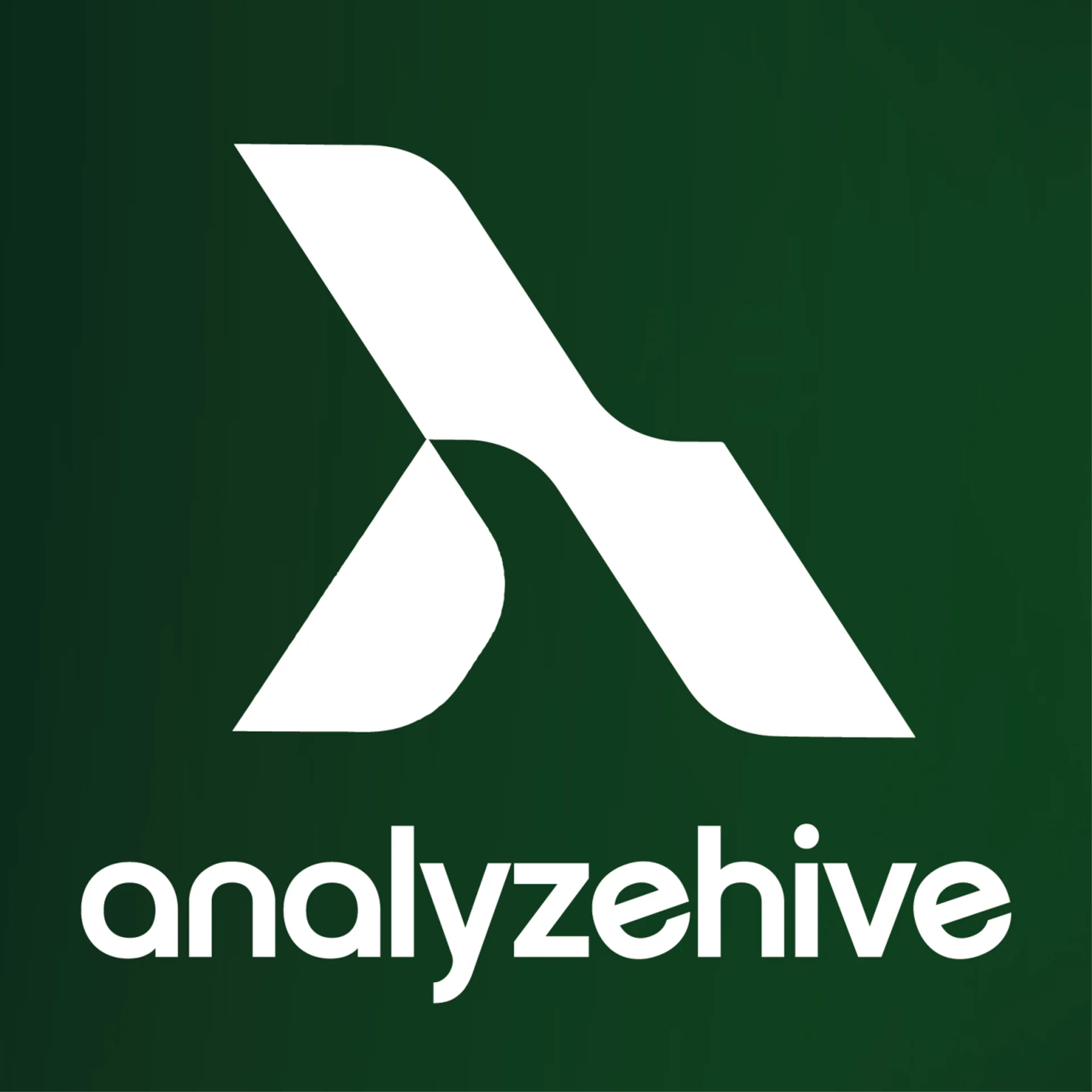 Analyzehive