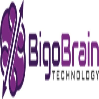 BigoBrain Technology