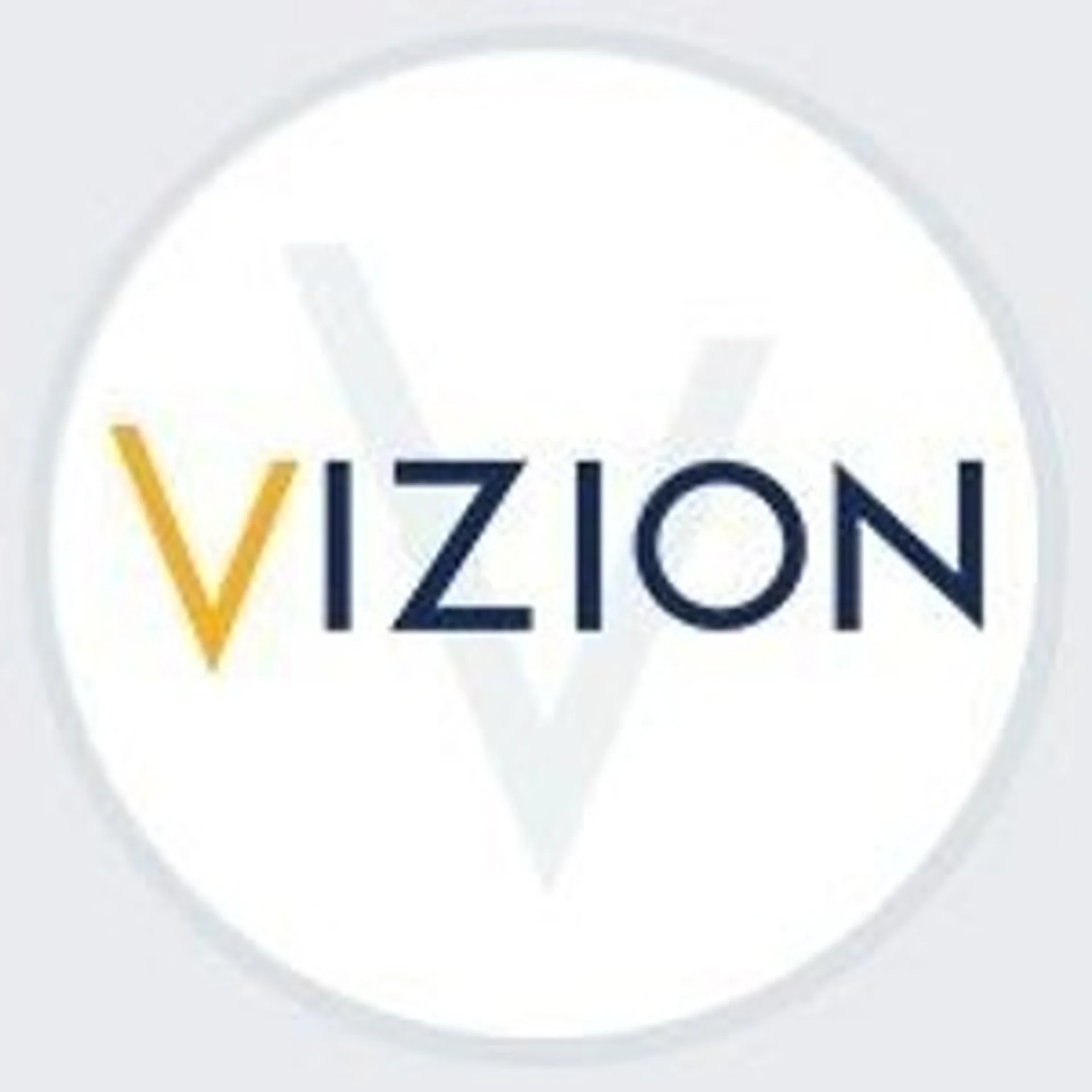 Vizion