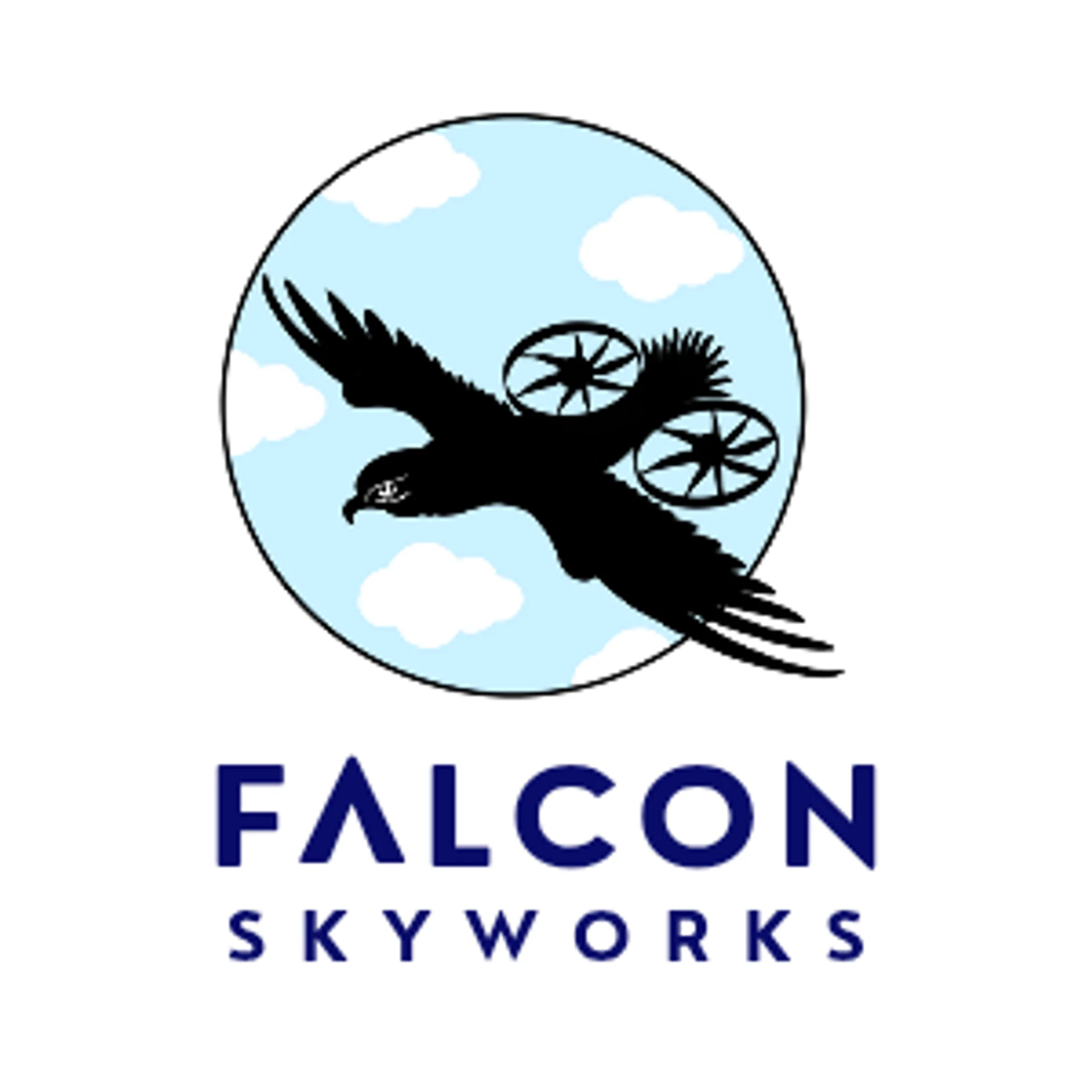 Falcon Skyworks Inc