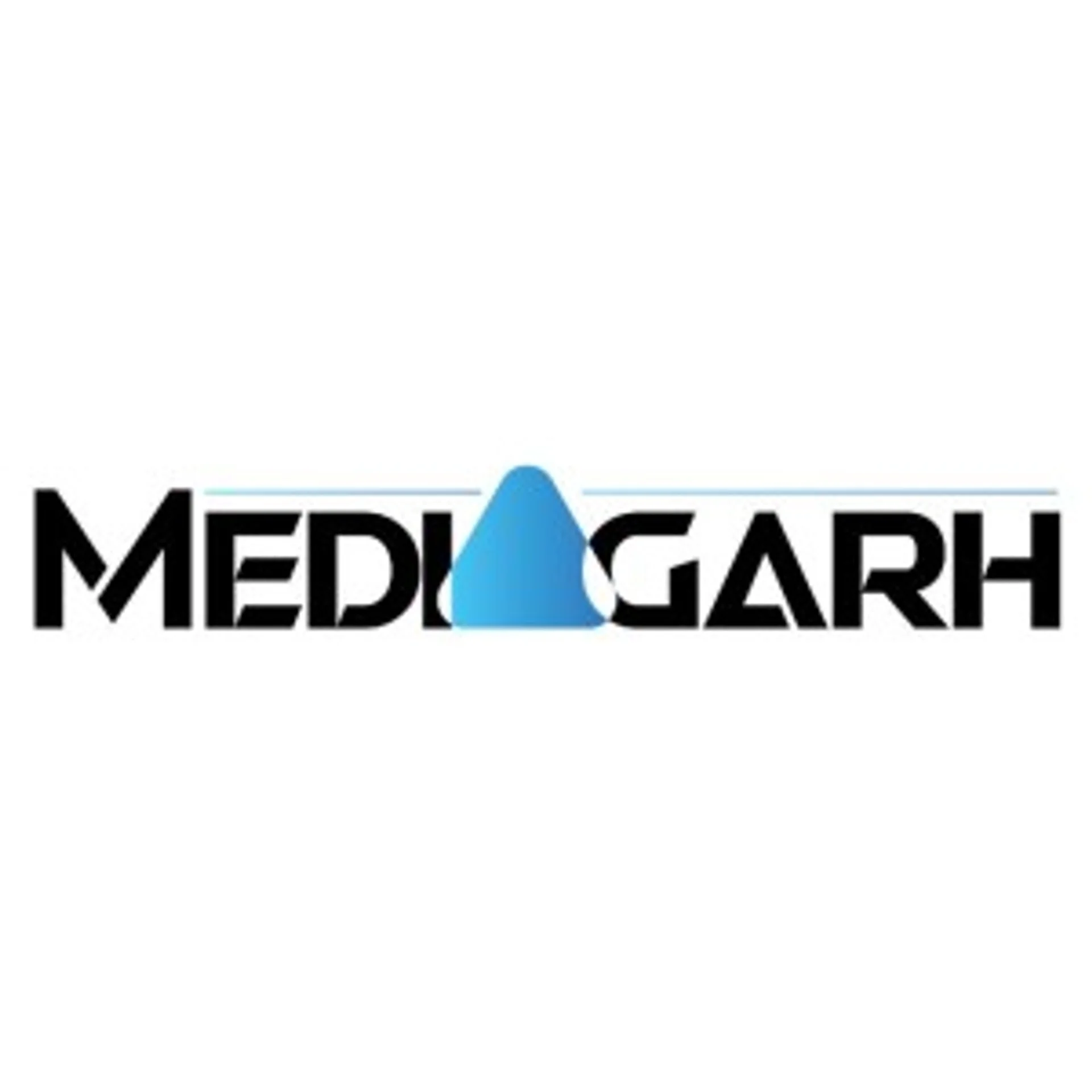 Mediagarh