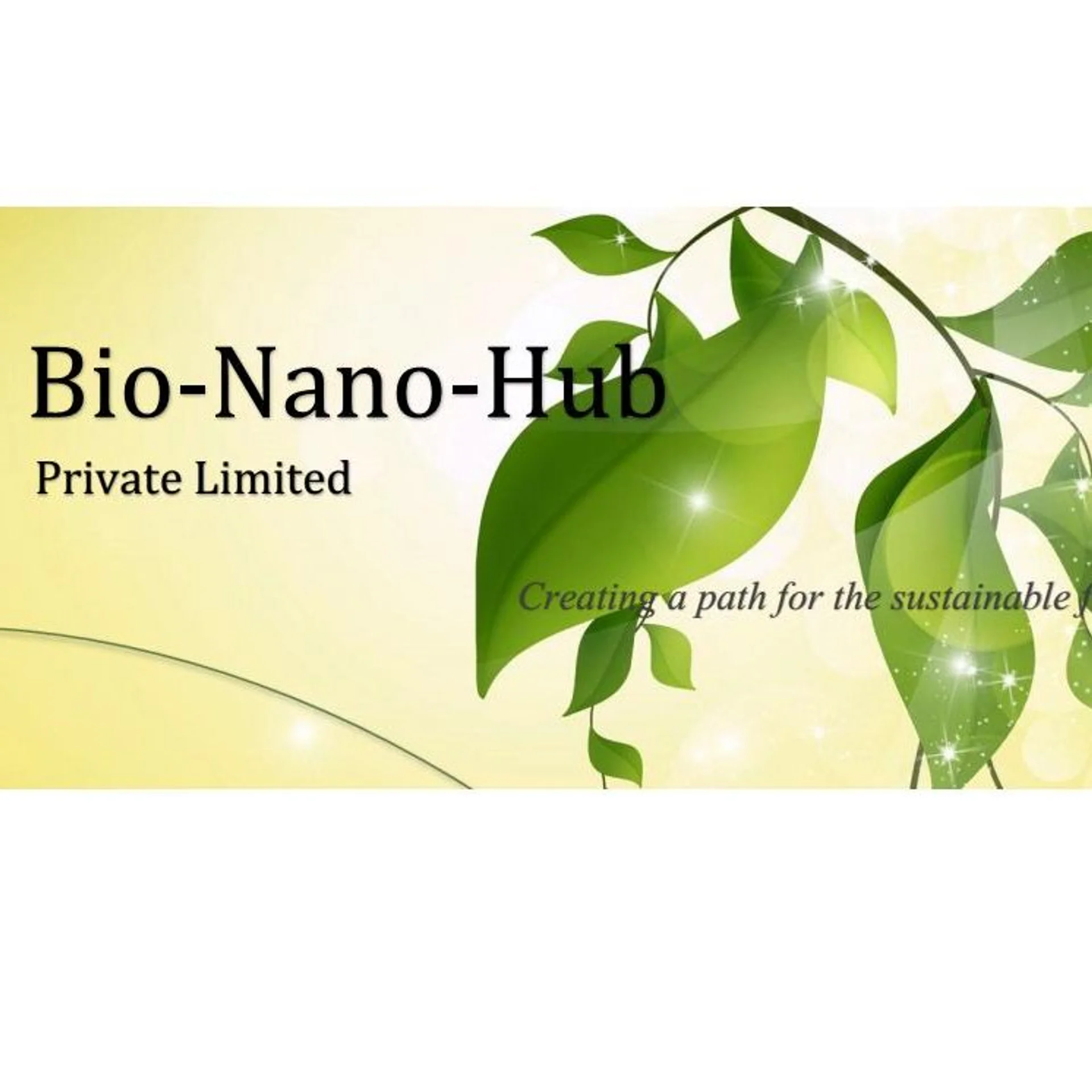 Bio-Nano-Hub