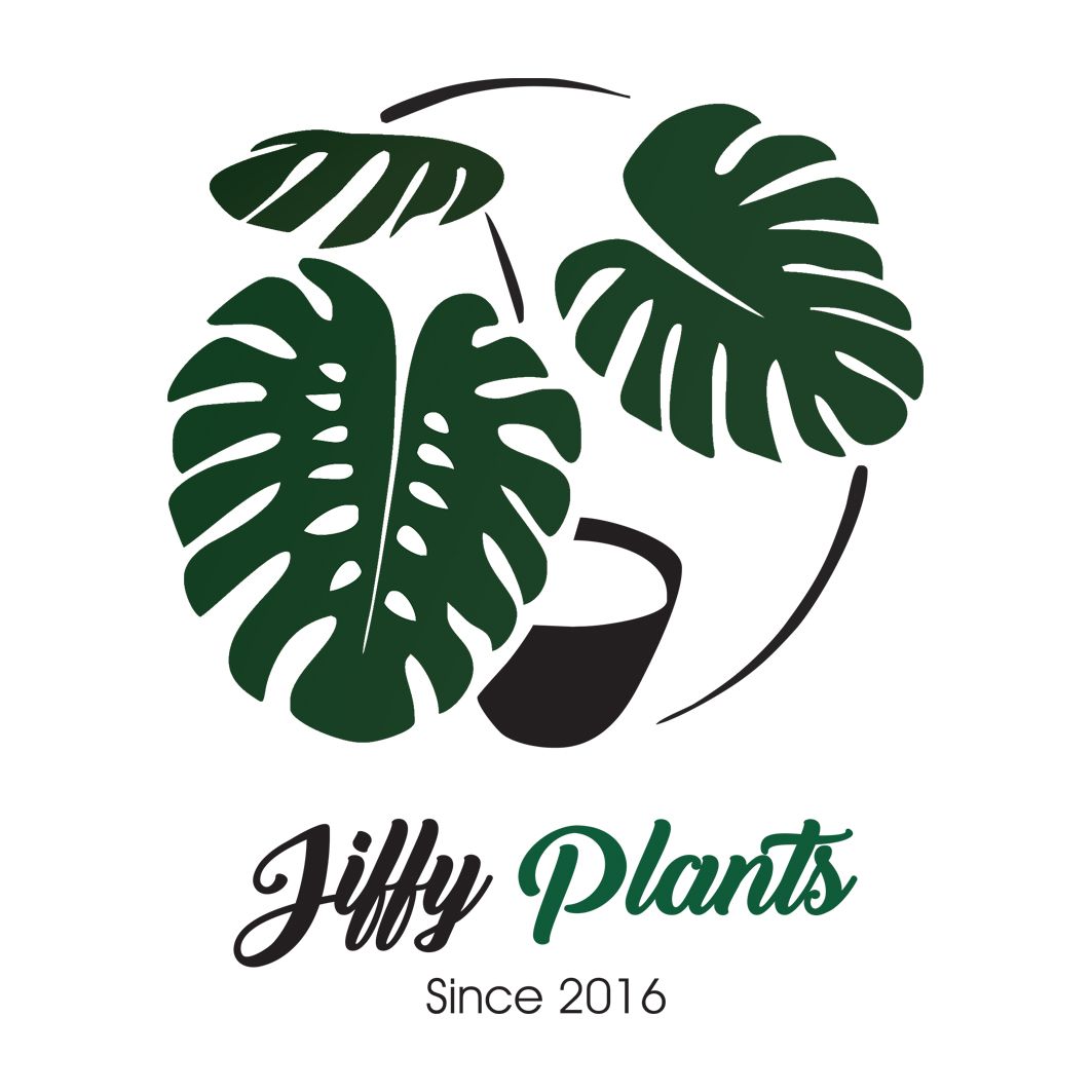 3d And Modern Green Leaf Logo Design, Leaf Logo, Plant Logo, Nature Logo PNG  and Vector with Transparent Background for Free Download