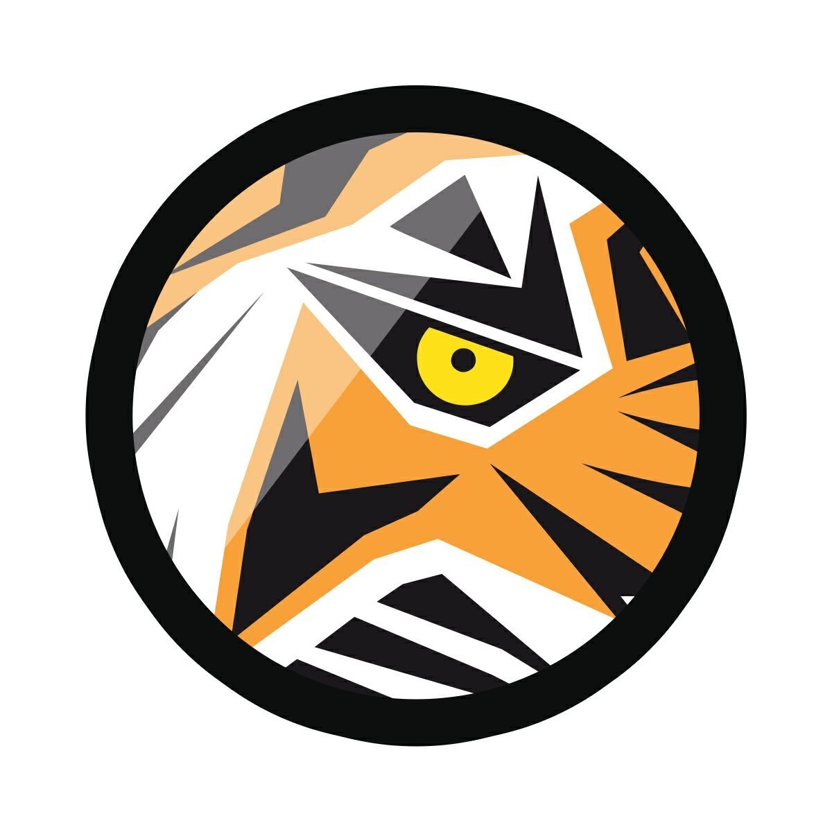 lens-tiger-company-profile-information-investors-valuation-funding