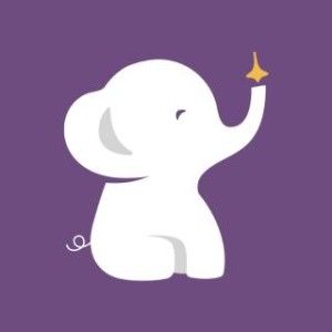 EleFant logo