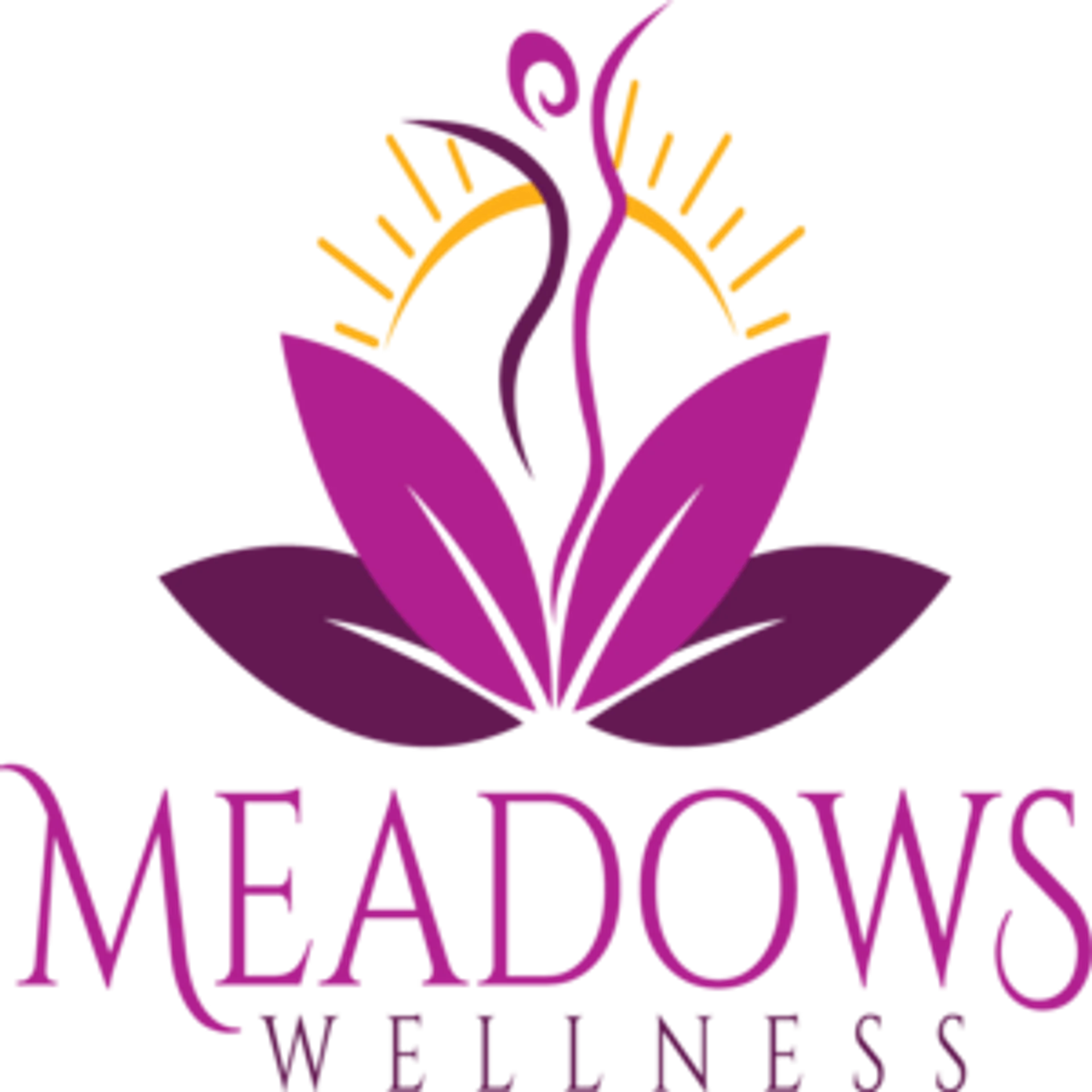 Meadows Wellness India