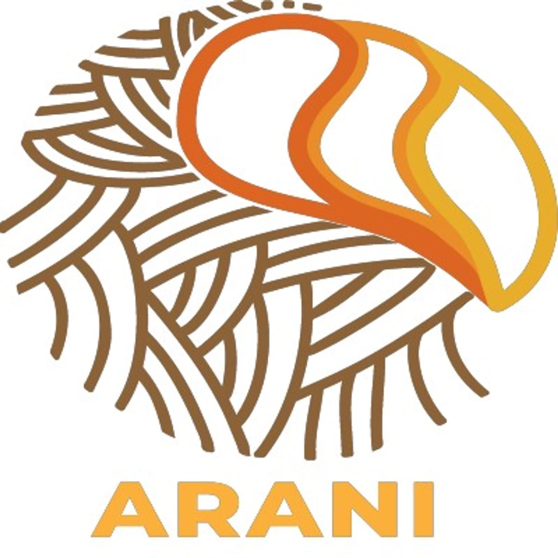 Arani Ecosteps