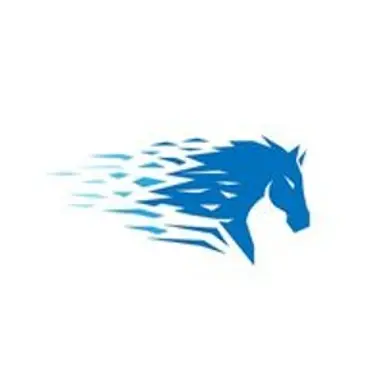 Blue Horse Tech Solution