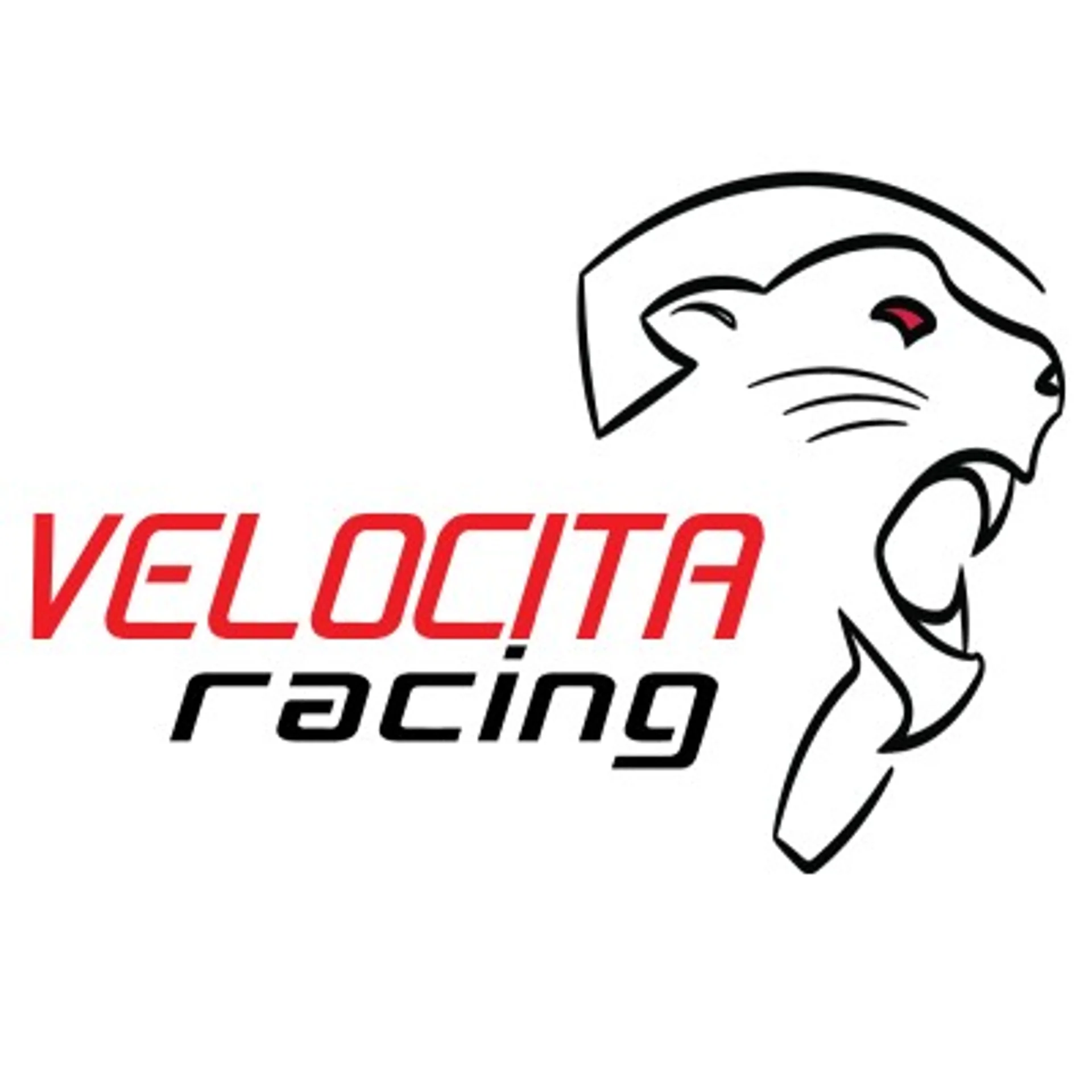 Velocita Racing