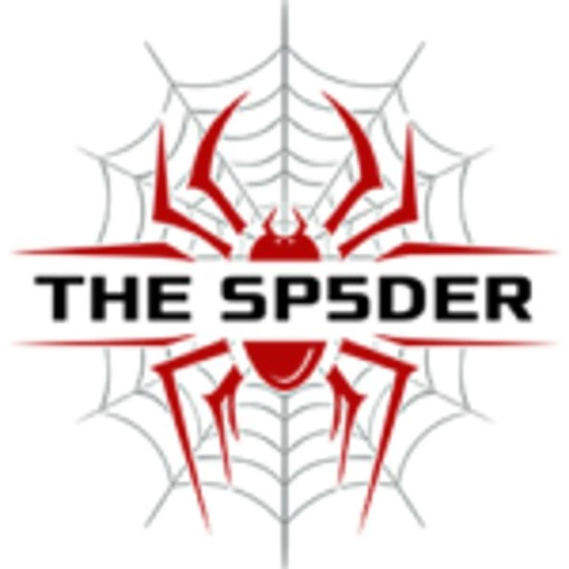 The Sp5der Hoodie