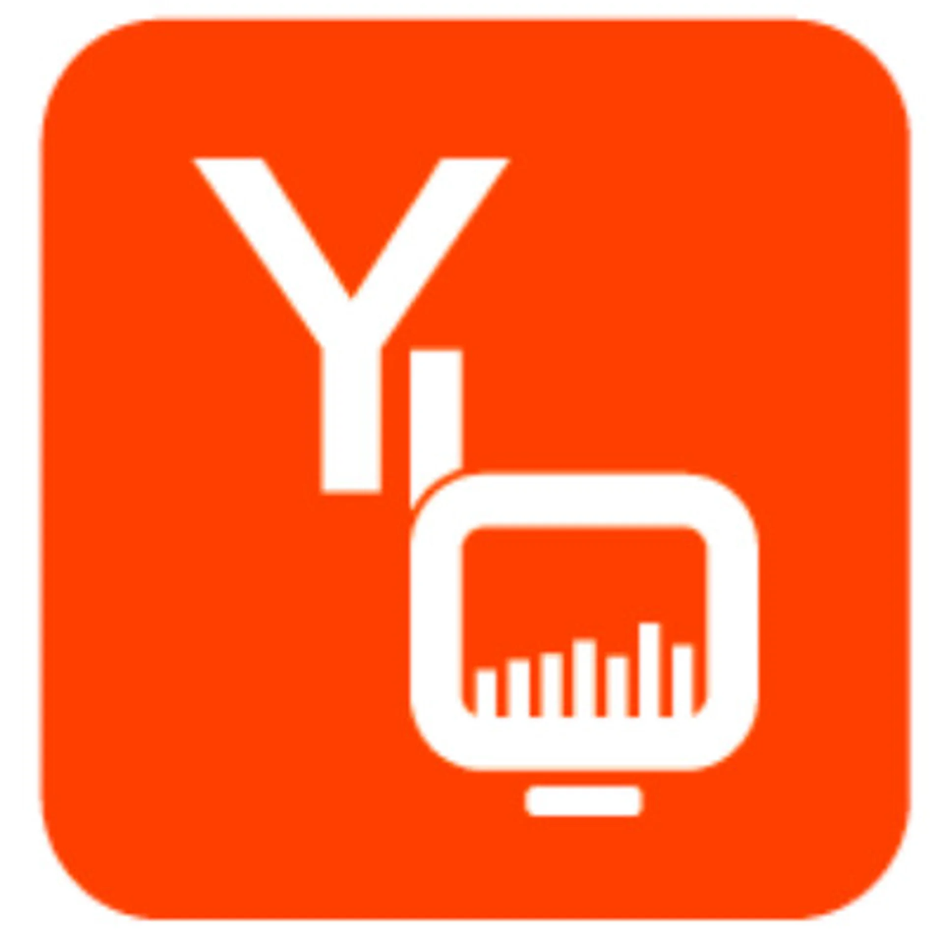YBI Foundation