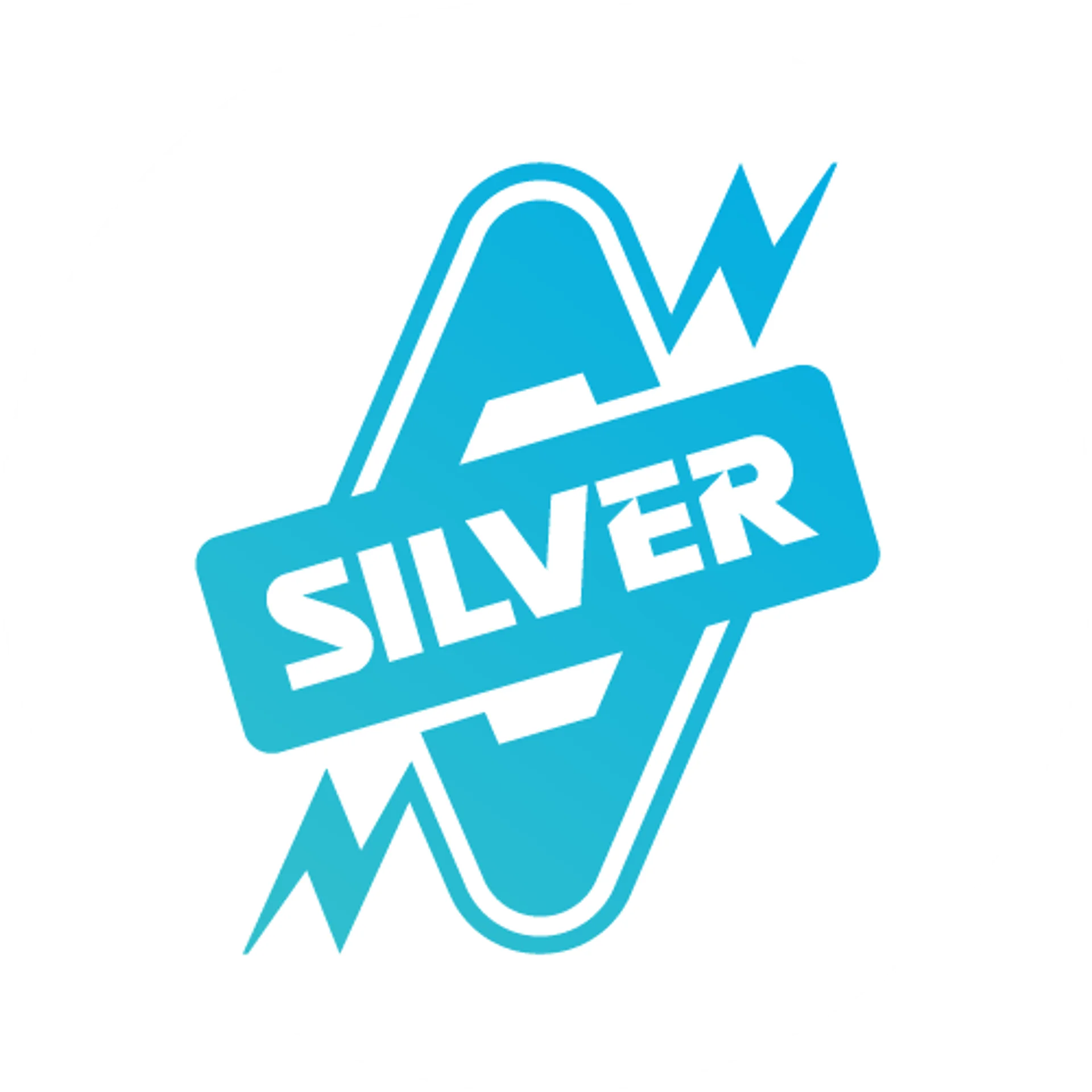 Silver Pumps & Motors