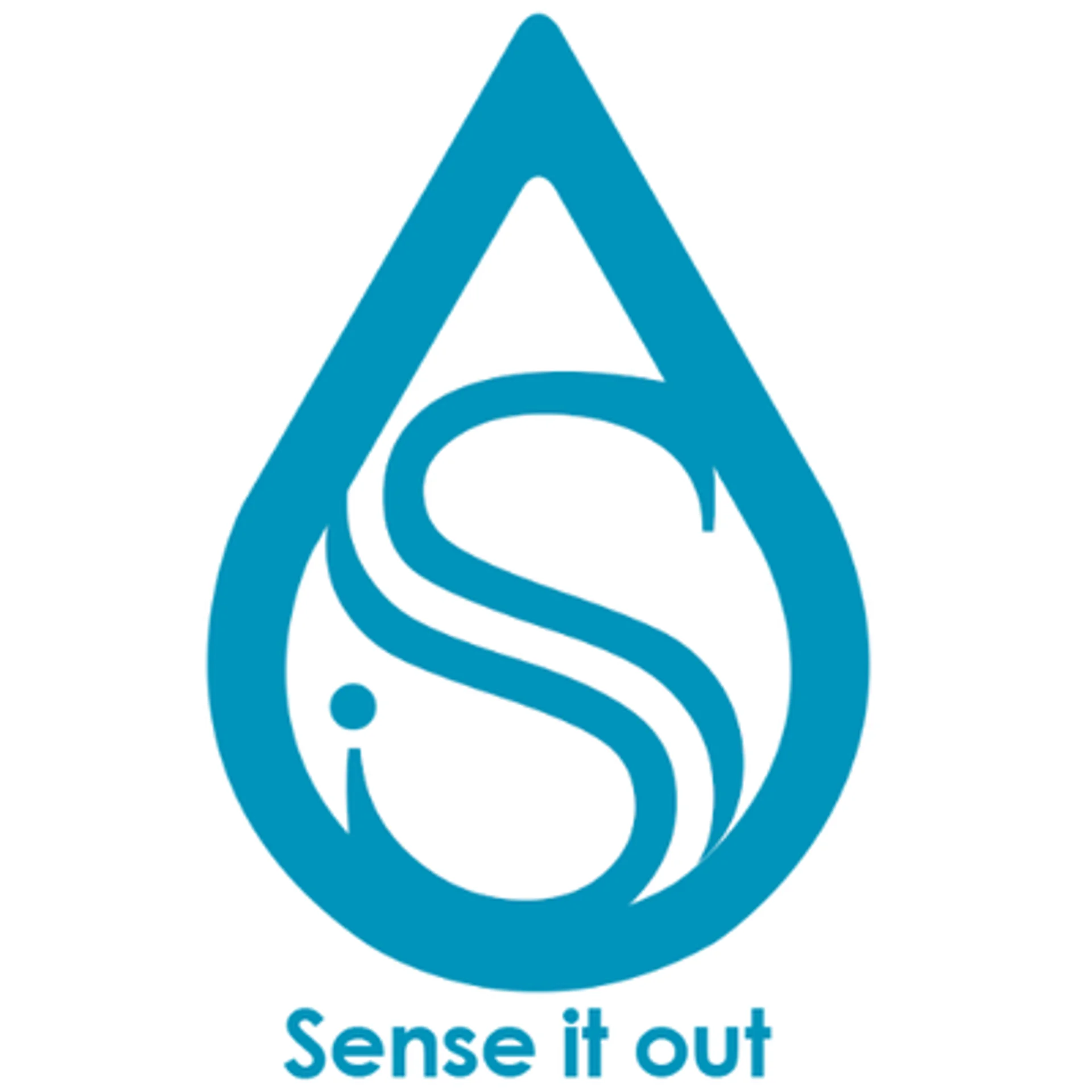 Sense It Out