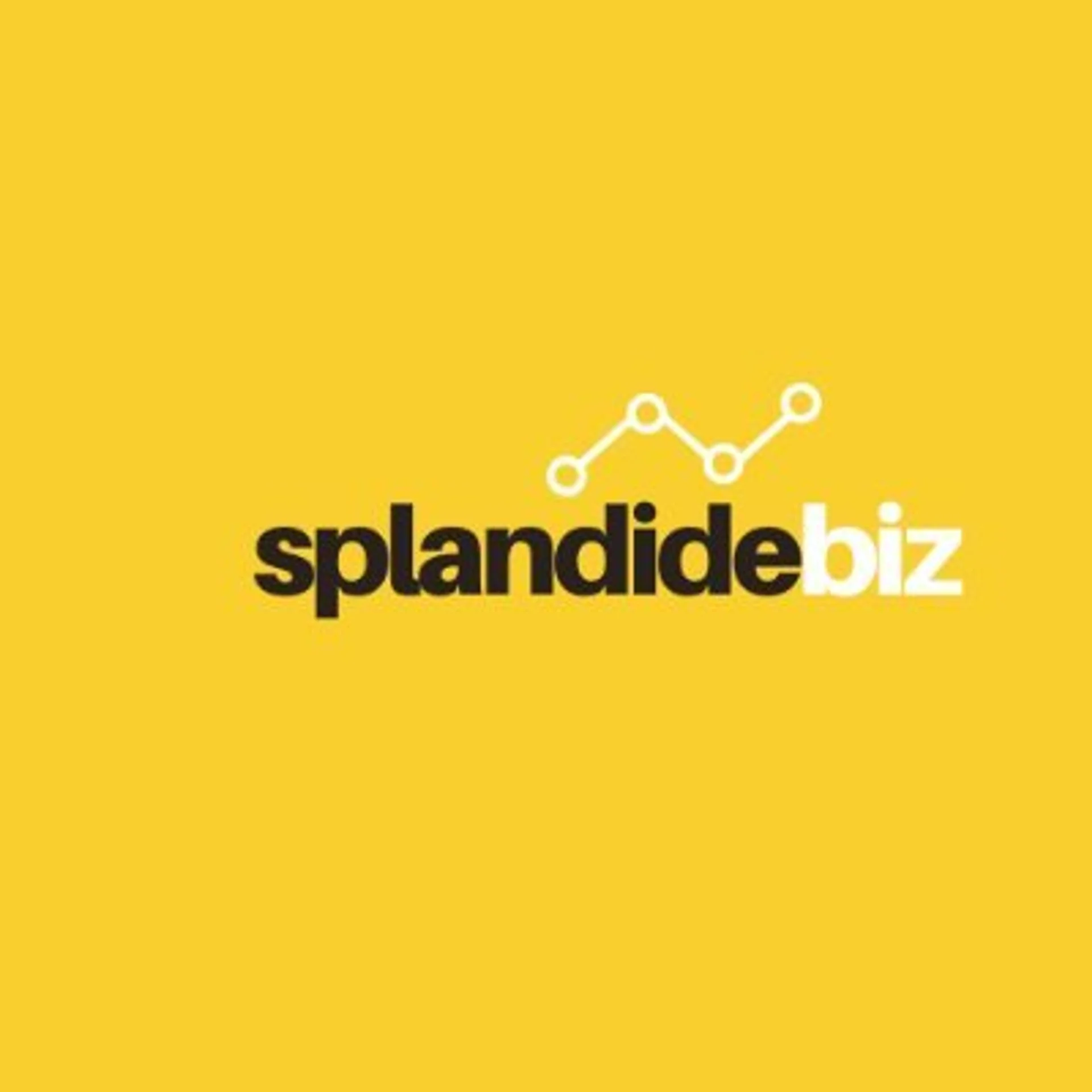 Splandidebiz.com