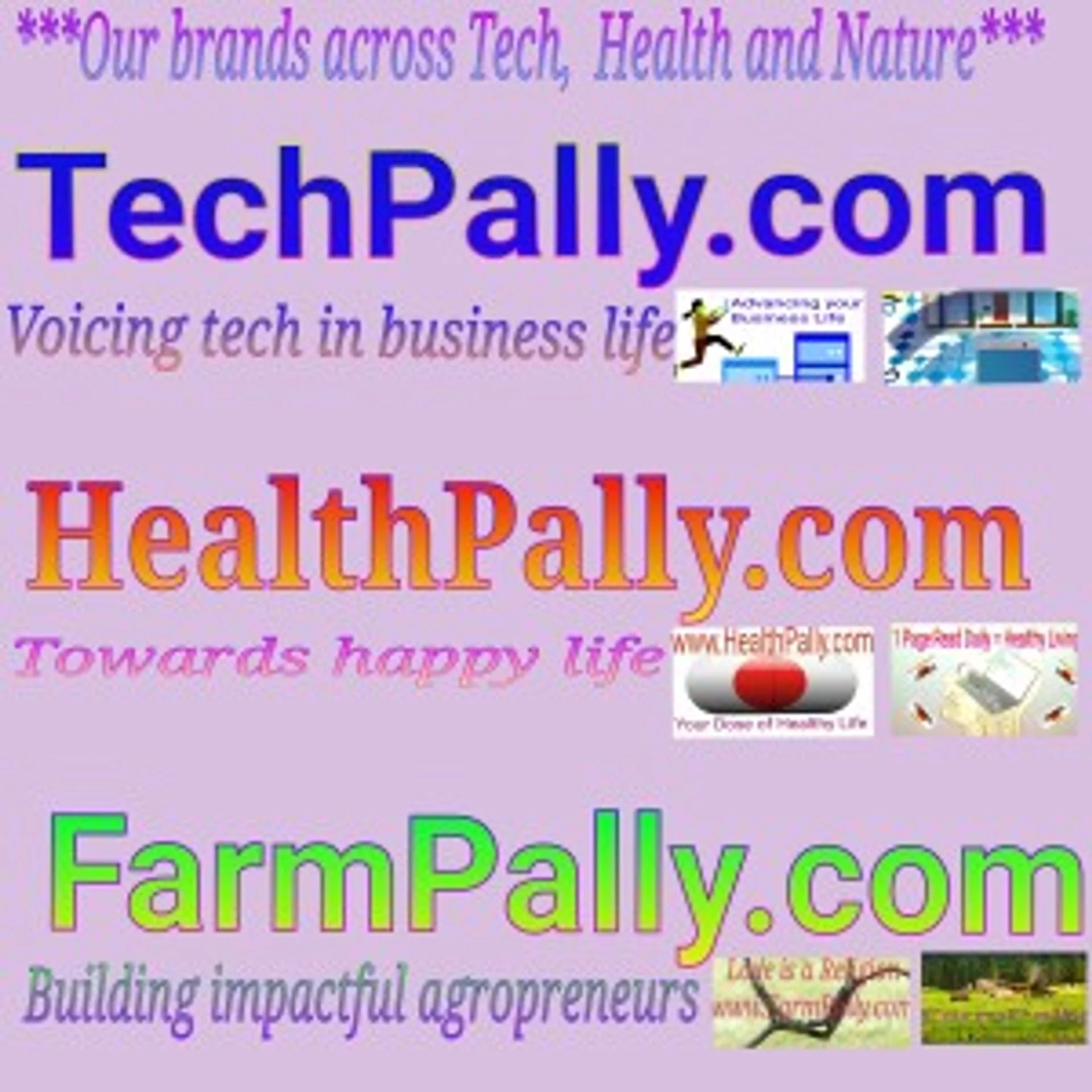 TechPally Digital Marketing