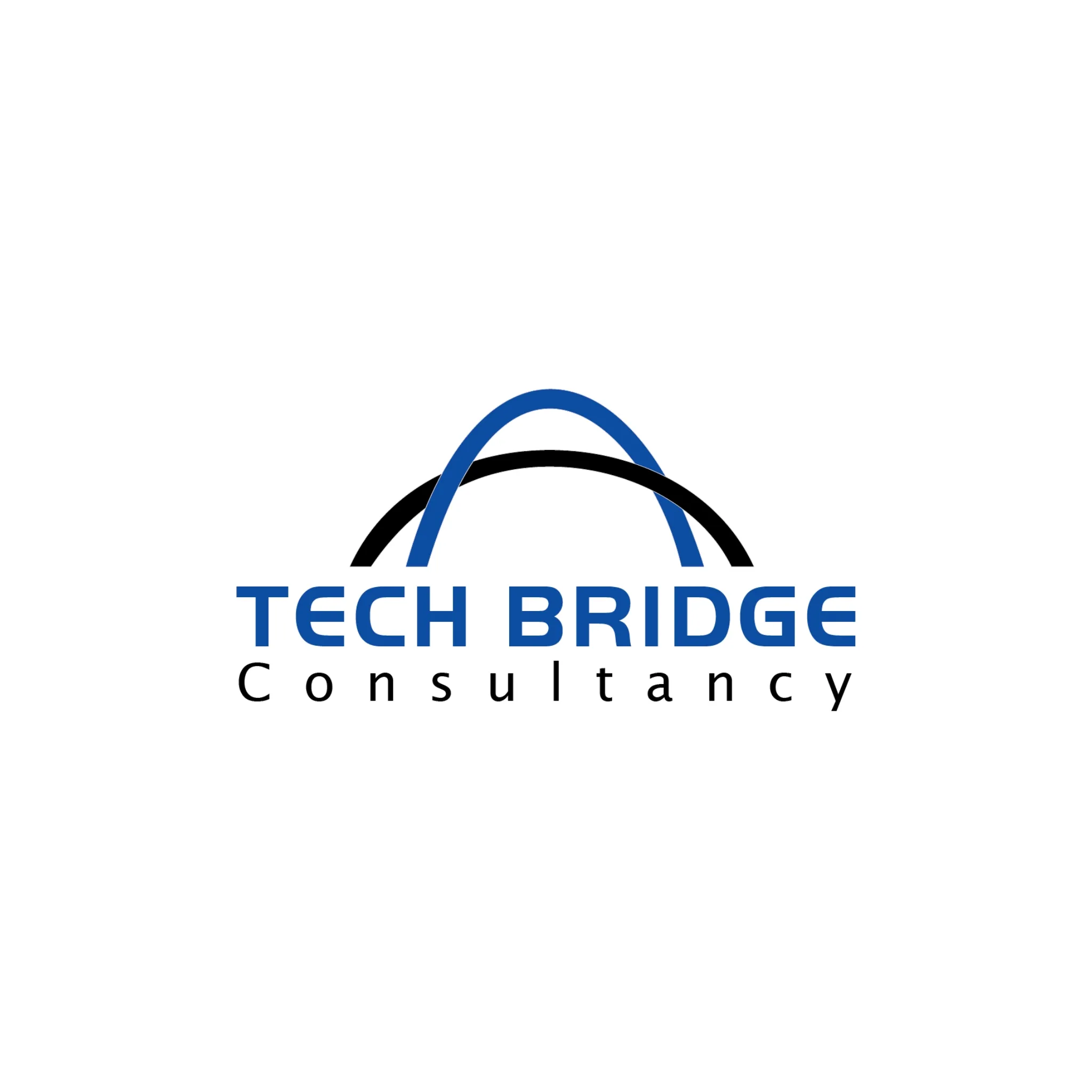 Tech Bridge Consultancy Company Profile, information, investors ...
