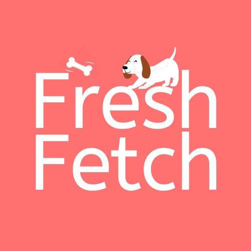 Fresh Fetch Yourstory