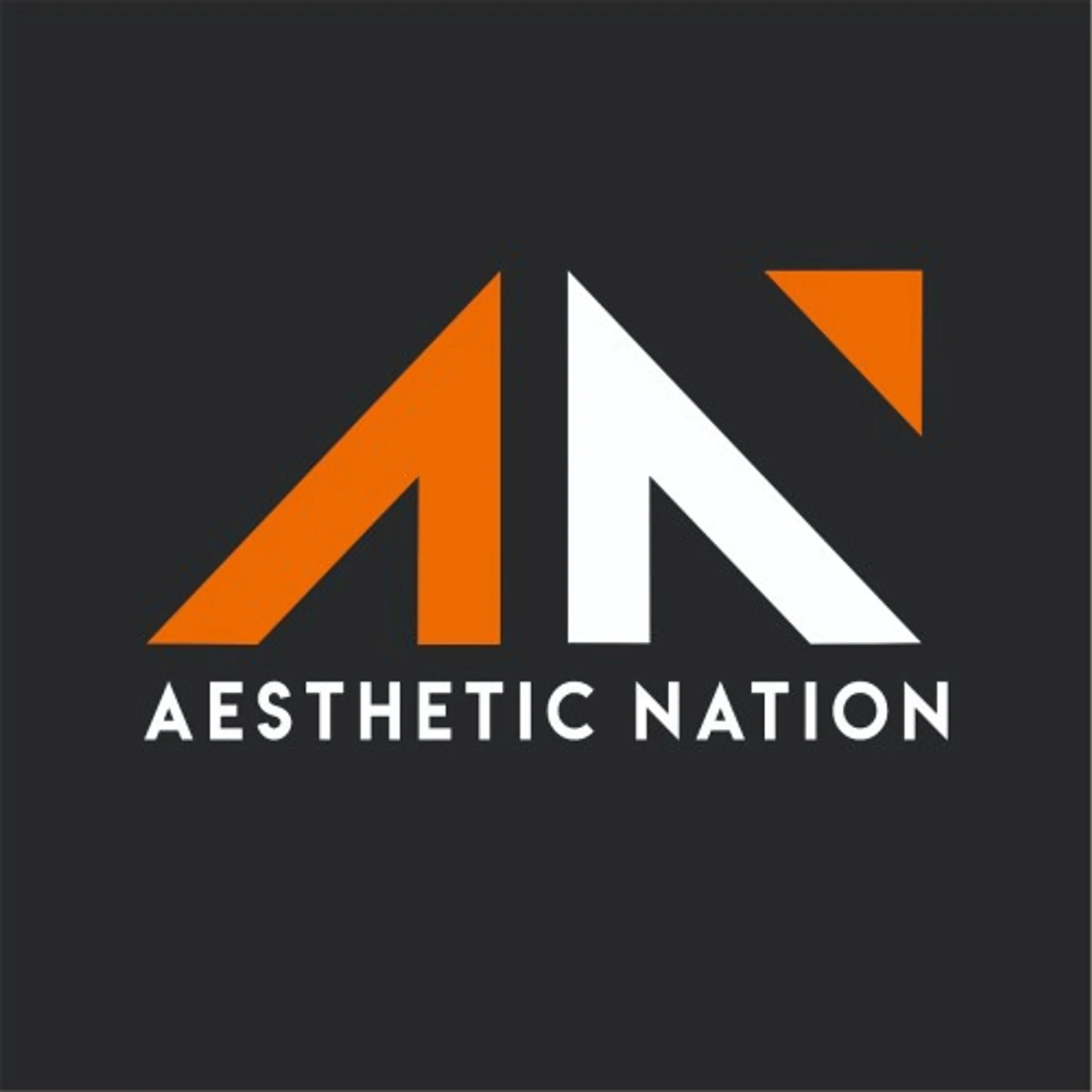 Aesthetic Nation