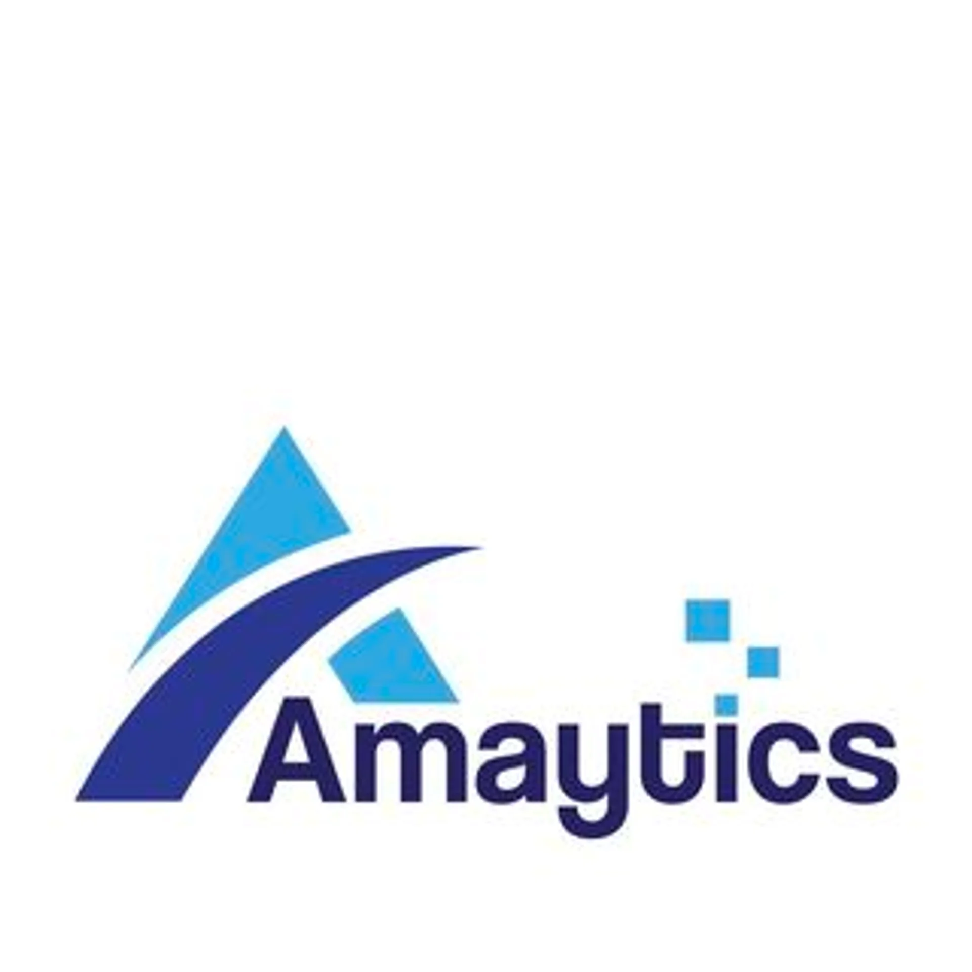 Amaytics Digital Services