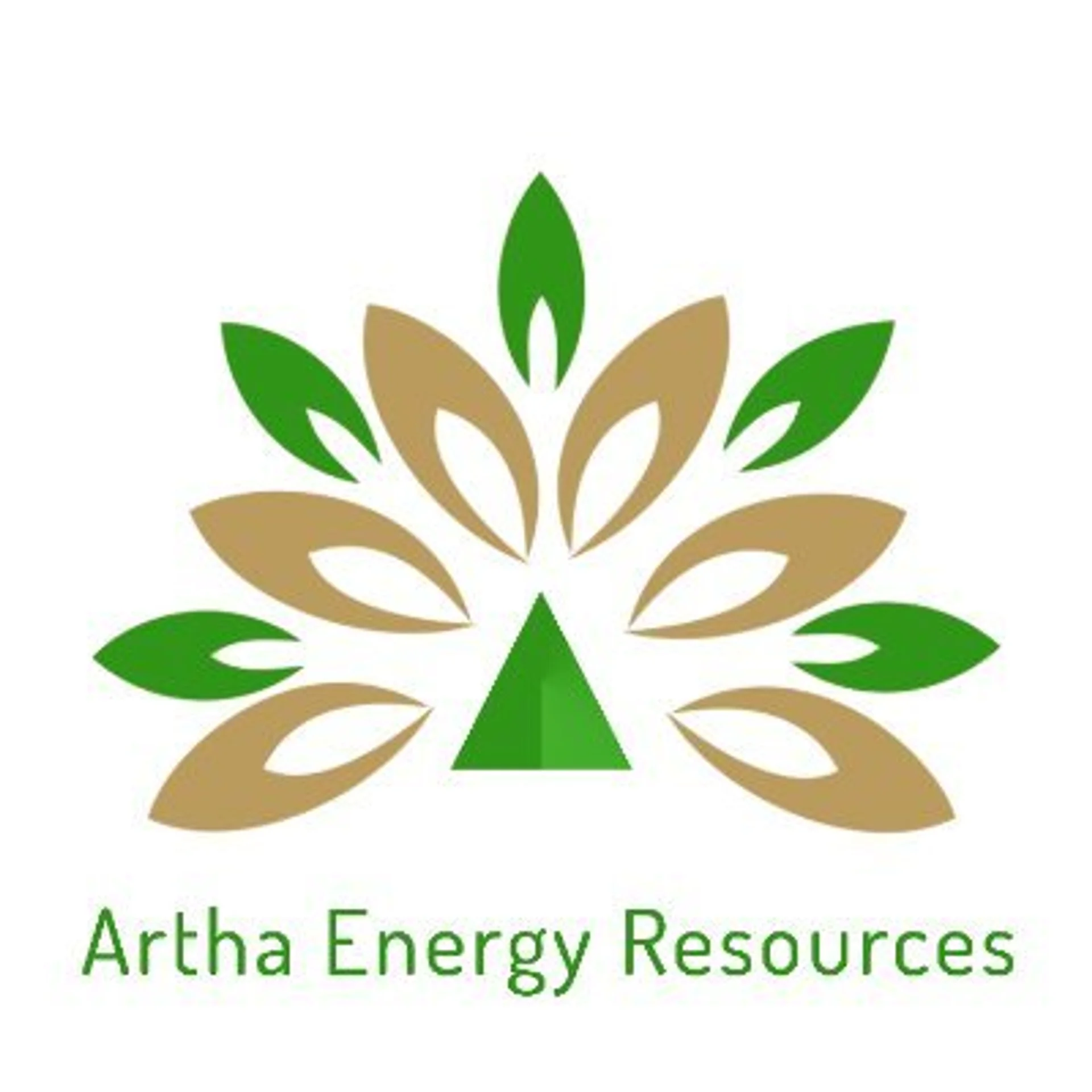 Artha Energy