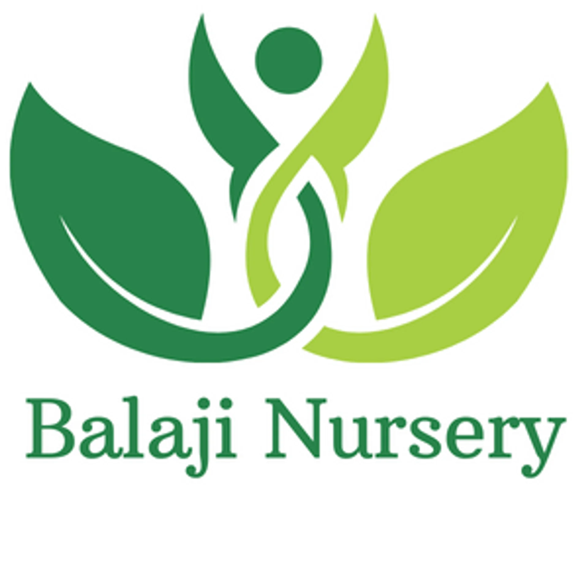 BALAJI NURSERY
