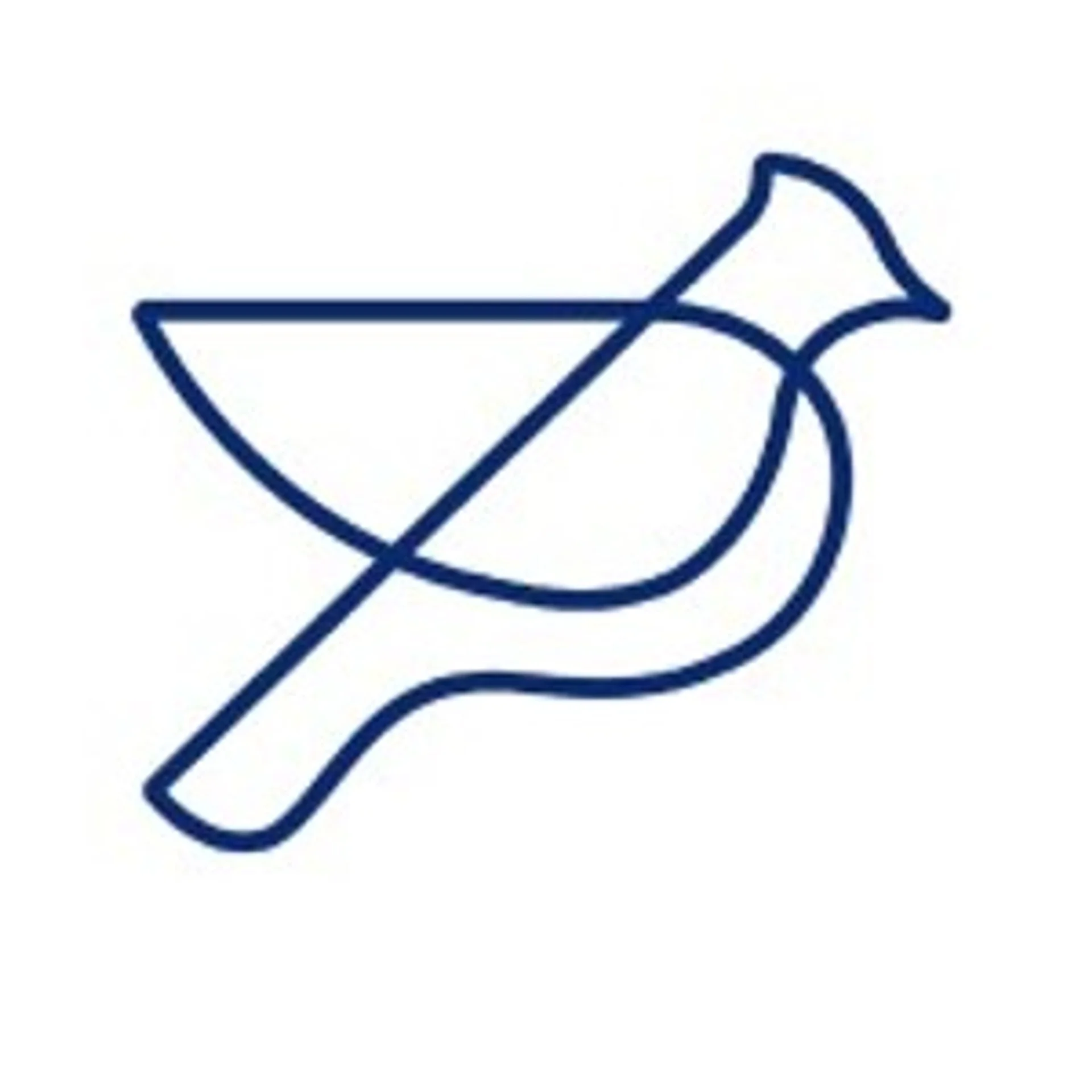 BluJ Aerospace