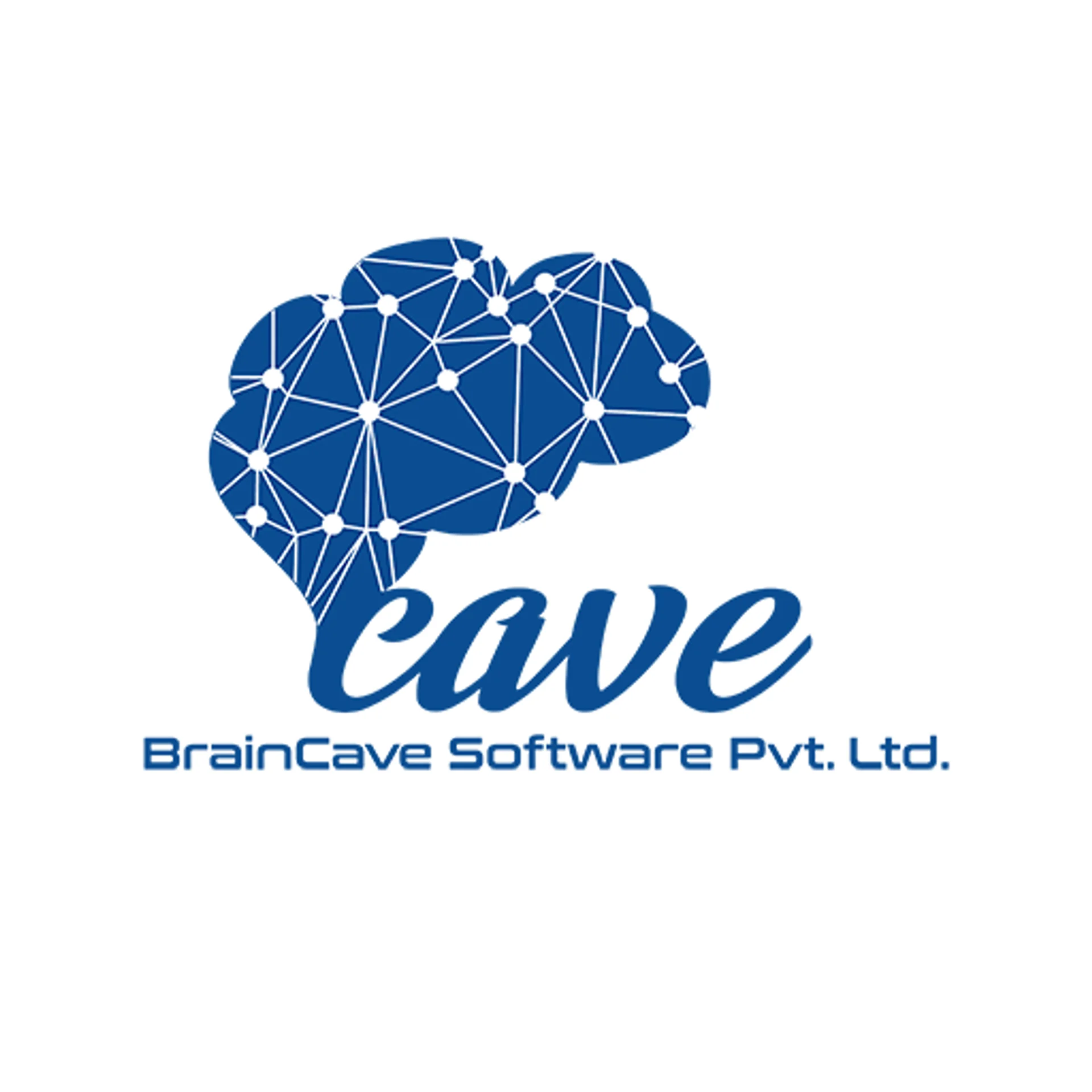 BrainCave Software