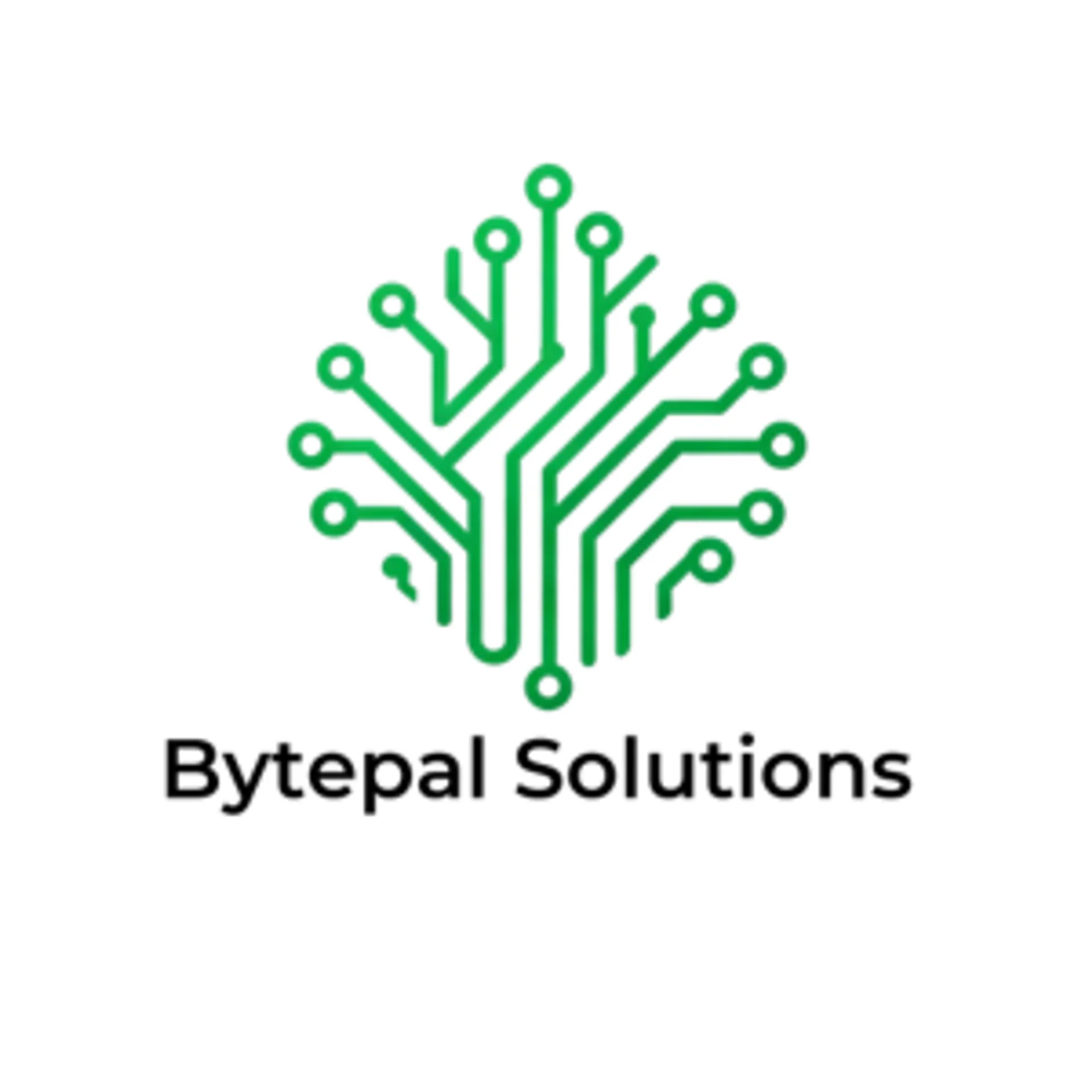 Bytepal Solutions Pvt. Ltd.