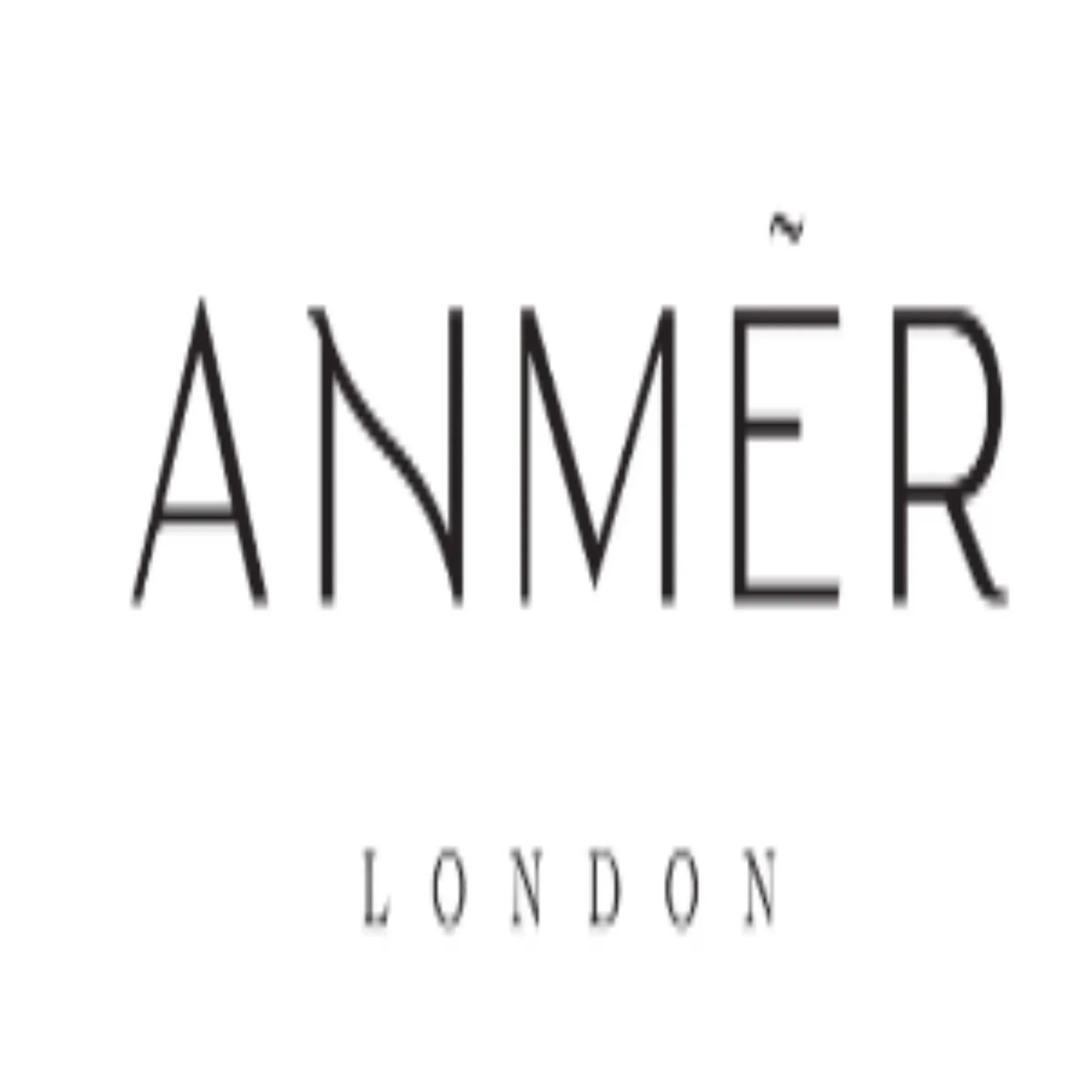 Anmer London Company Profile, information, investors, valuation & Funding