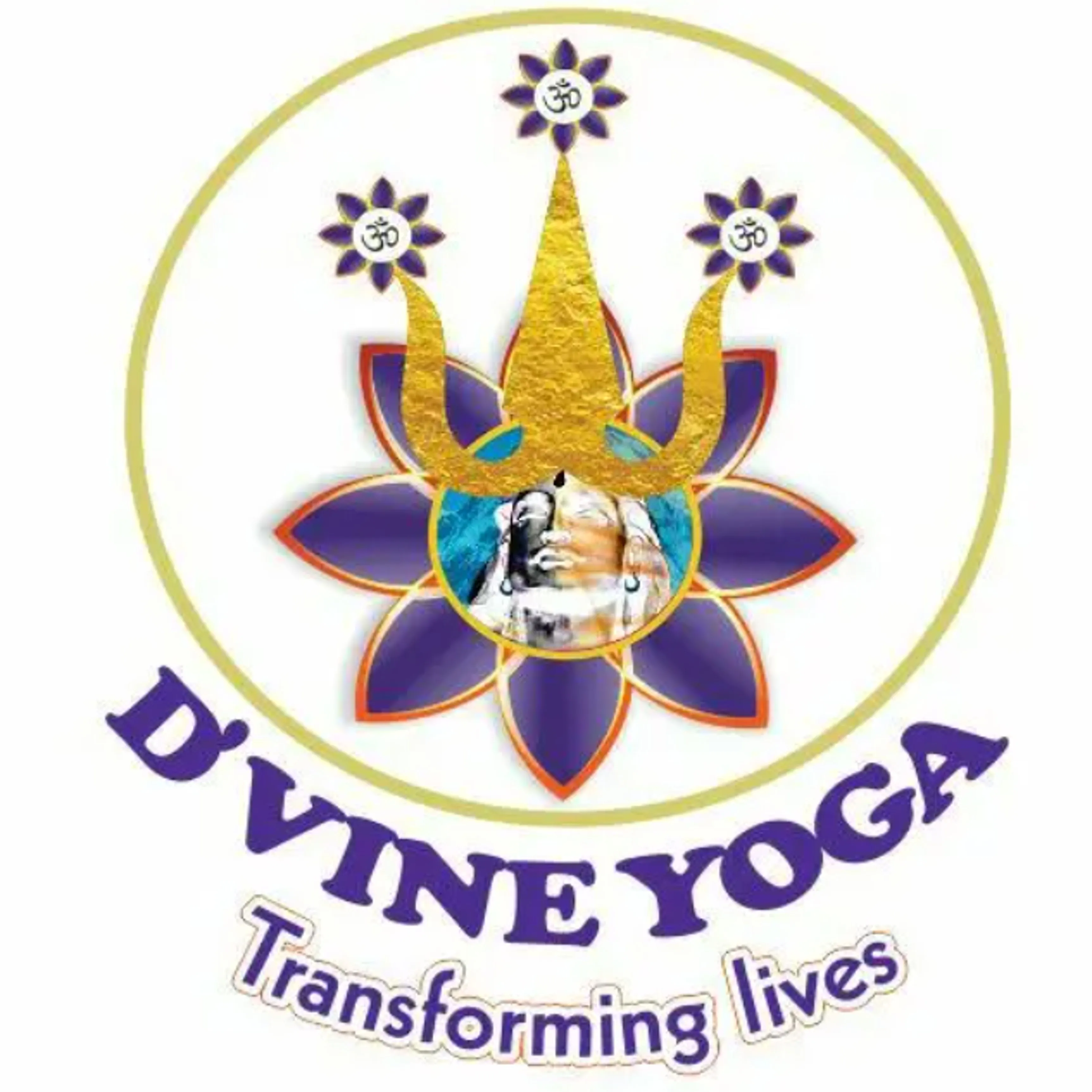 D'vine Yoga Company Profile, information, investors, valuation & Funding