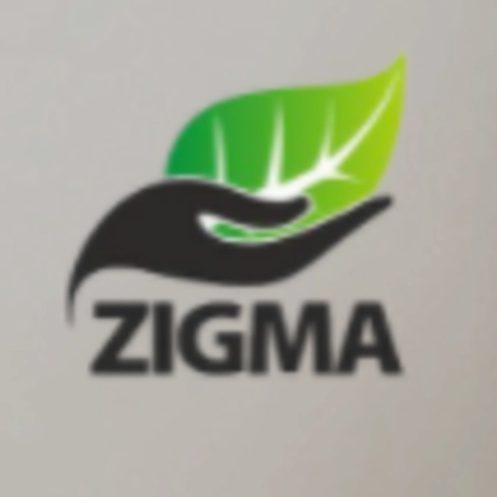 ZIGMA