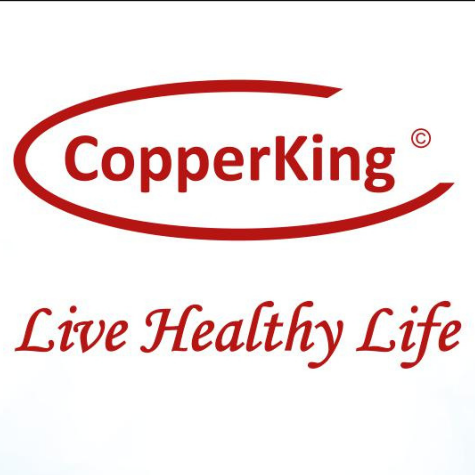 CopperKing India logo